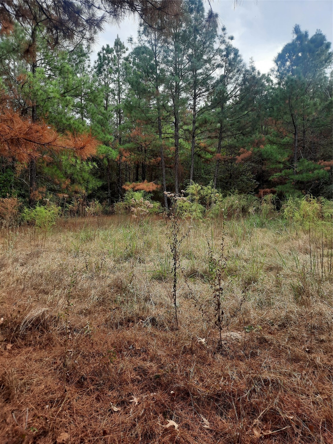 2900 County Road 3390 Property Photo 6