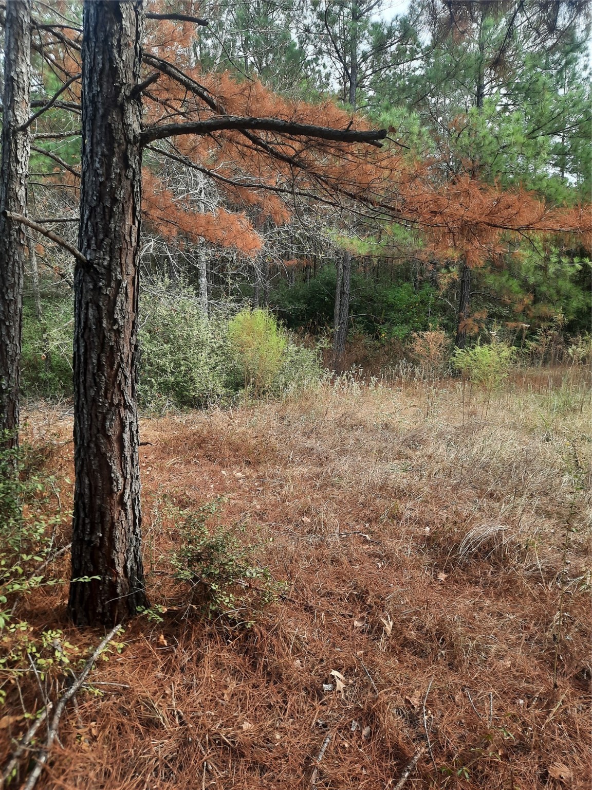 2900 County Road 3390 Property Photo 7