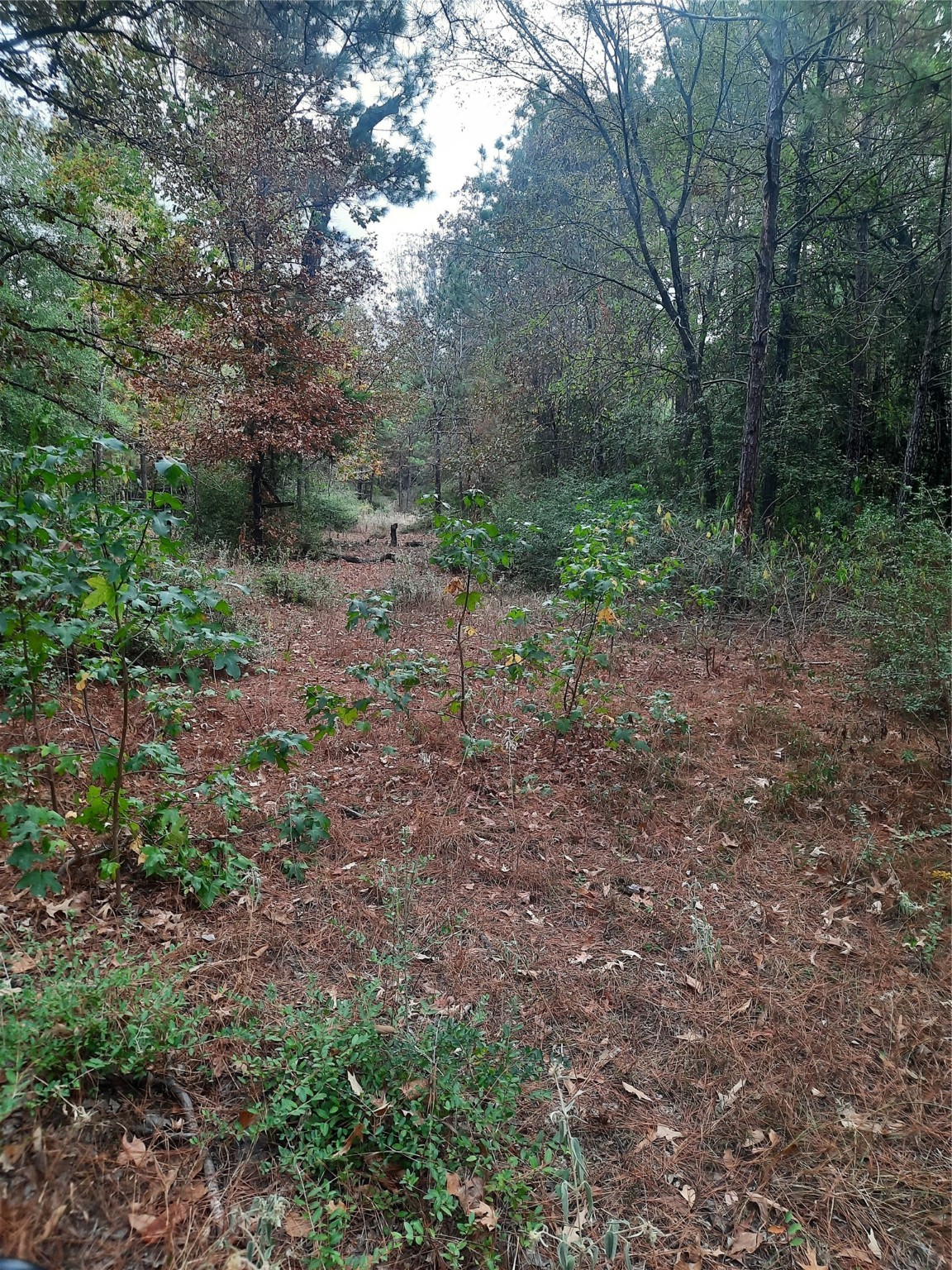 2900 County Road 3390 Property Photo 8
