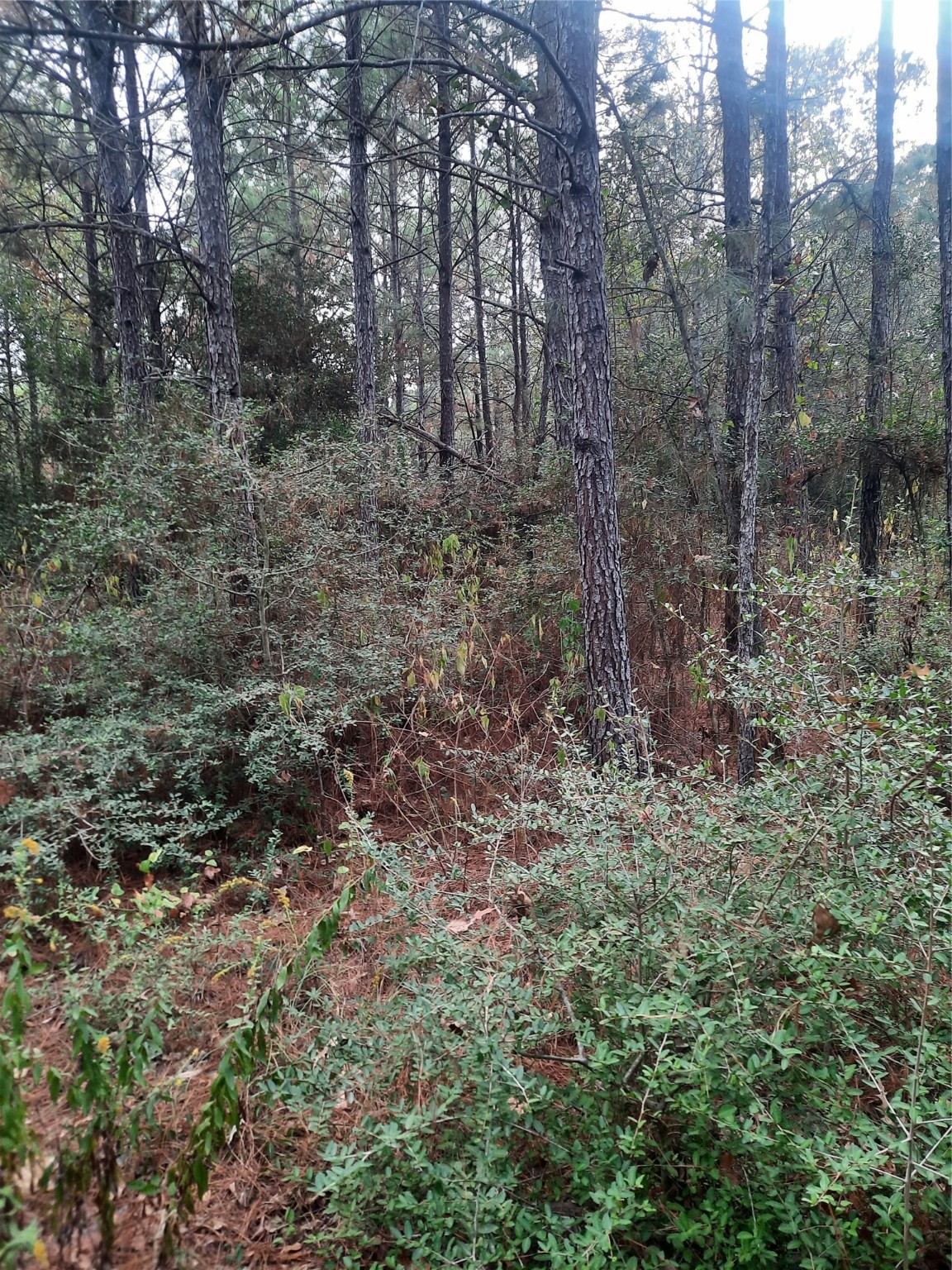 2900 County Road 3390 Property Photo 9