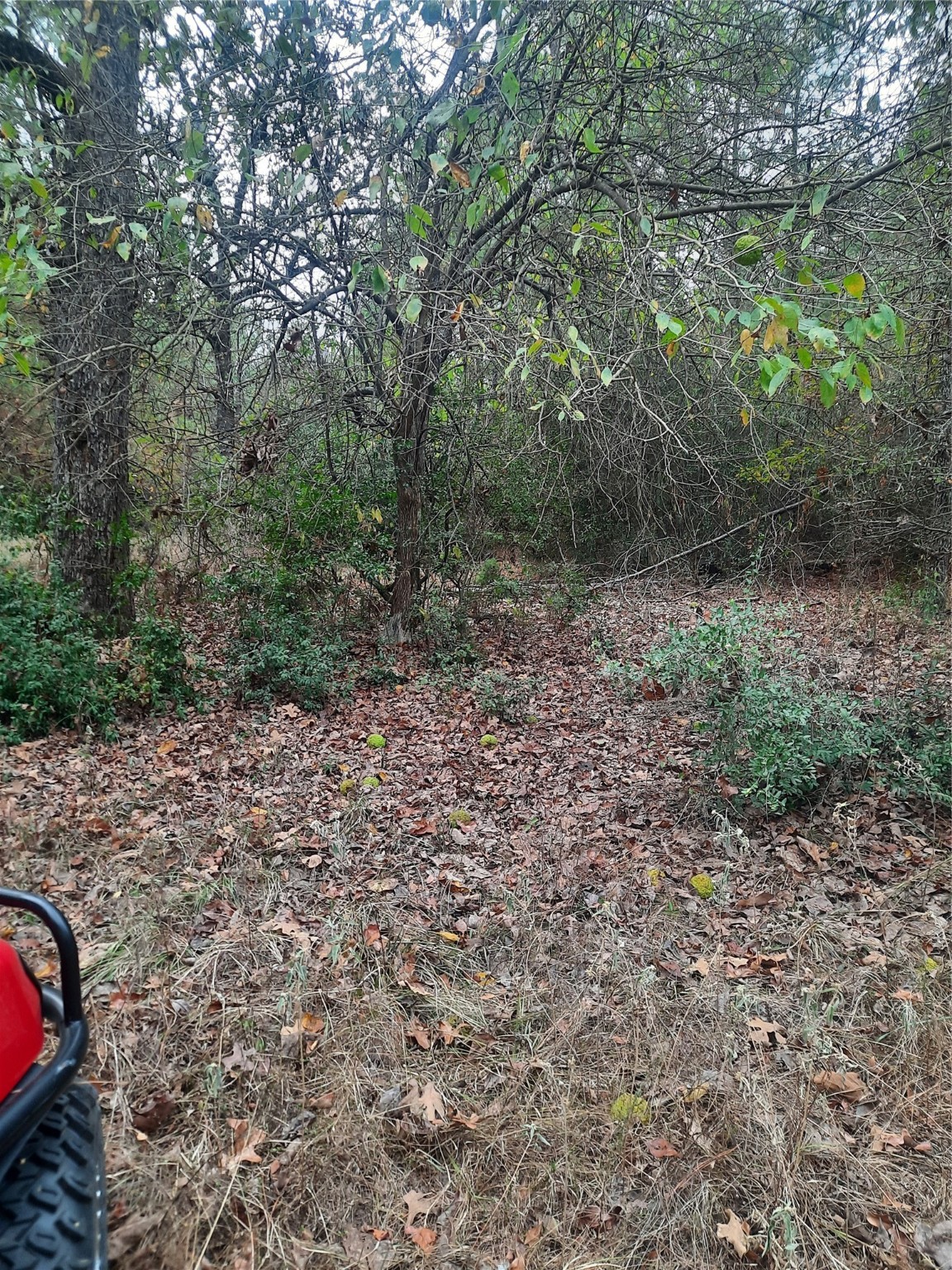 2900 County Road 3390 Property Photo 11