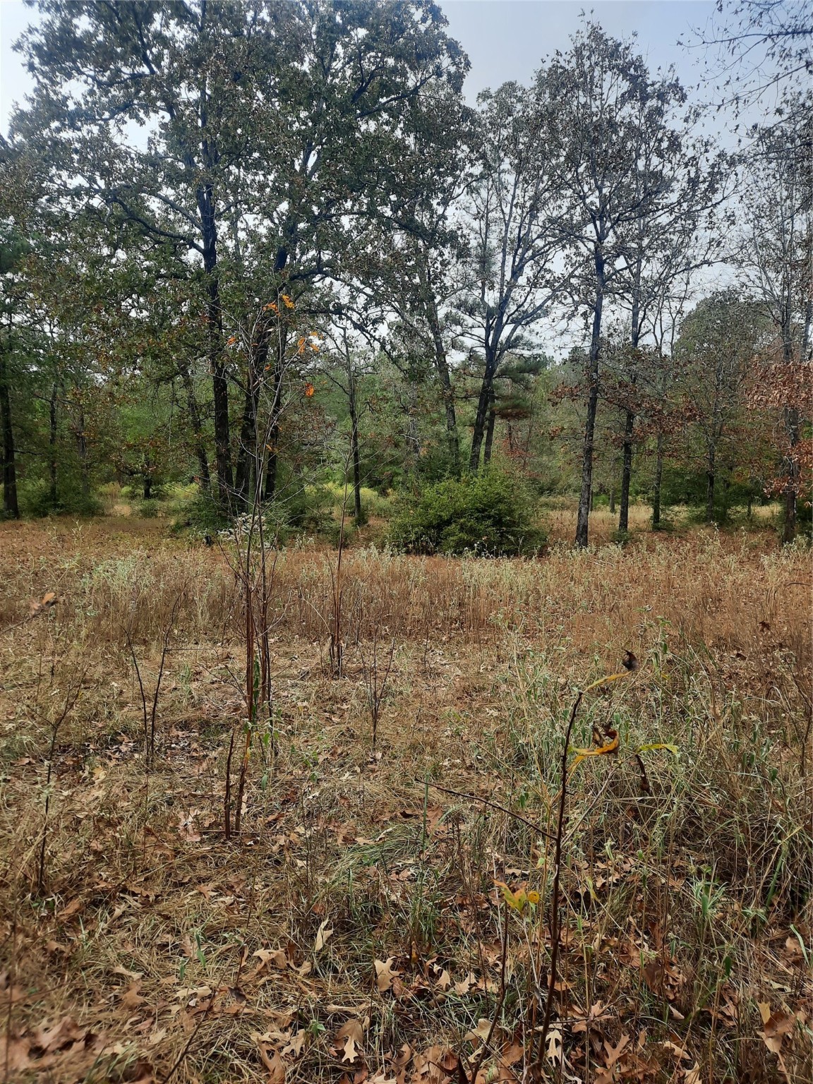 2900 County Road 3390 Property Photo 16
