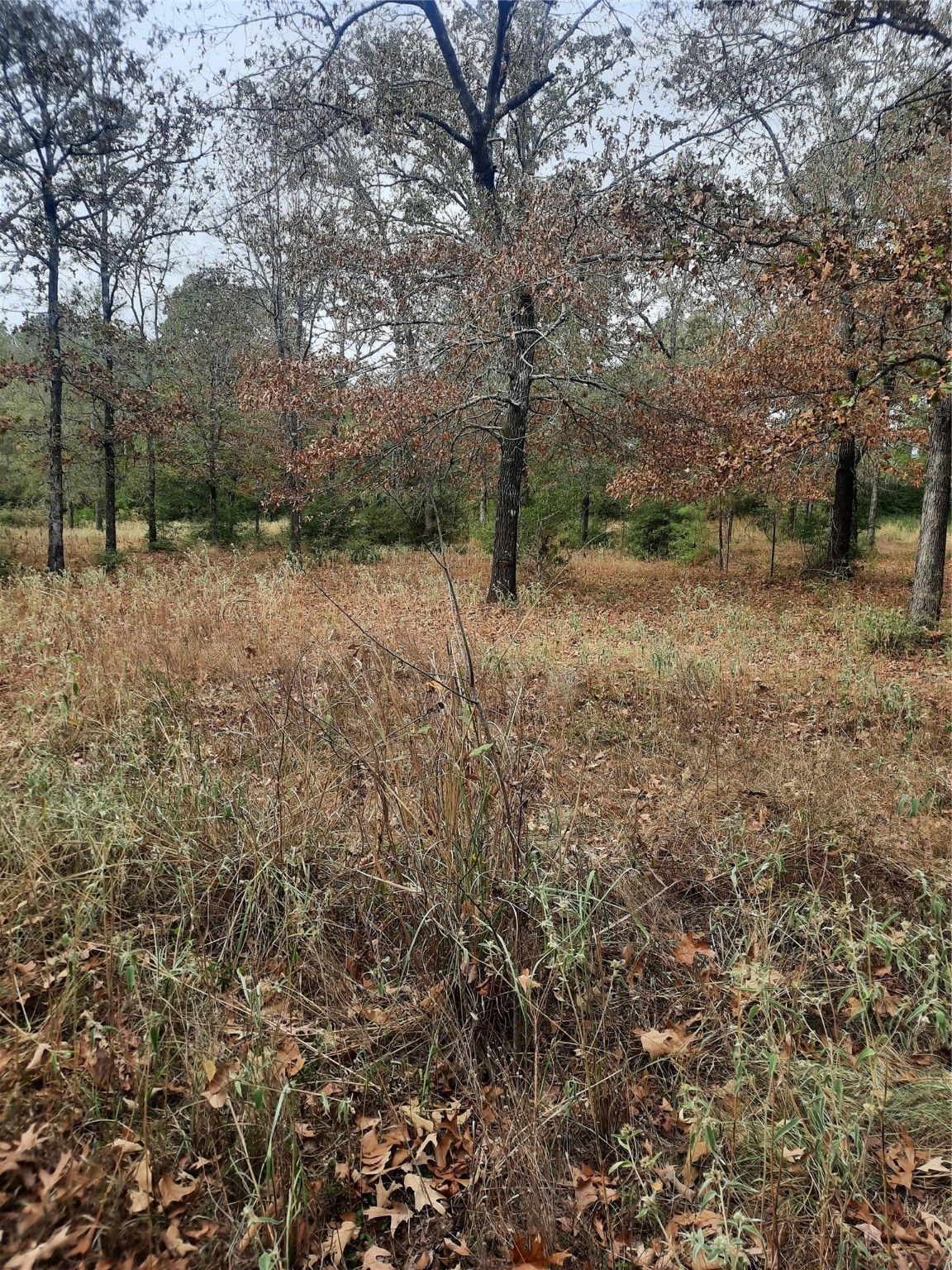 2900 County Road 3390 Property Photo 17