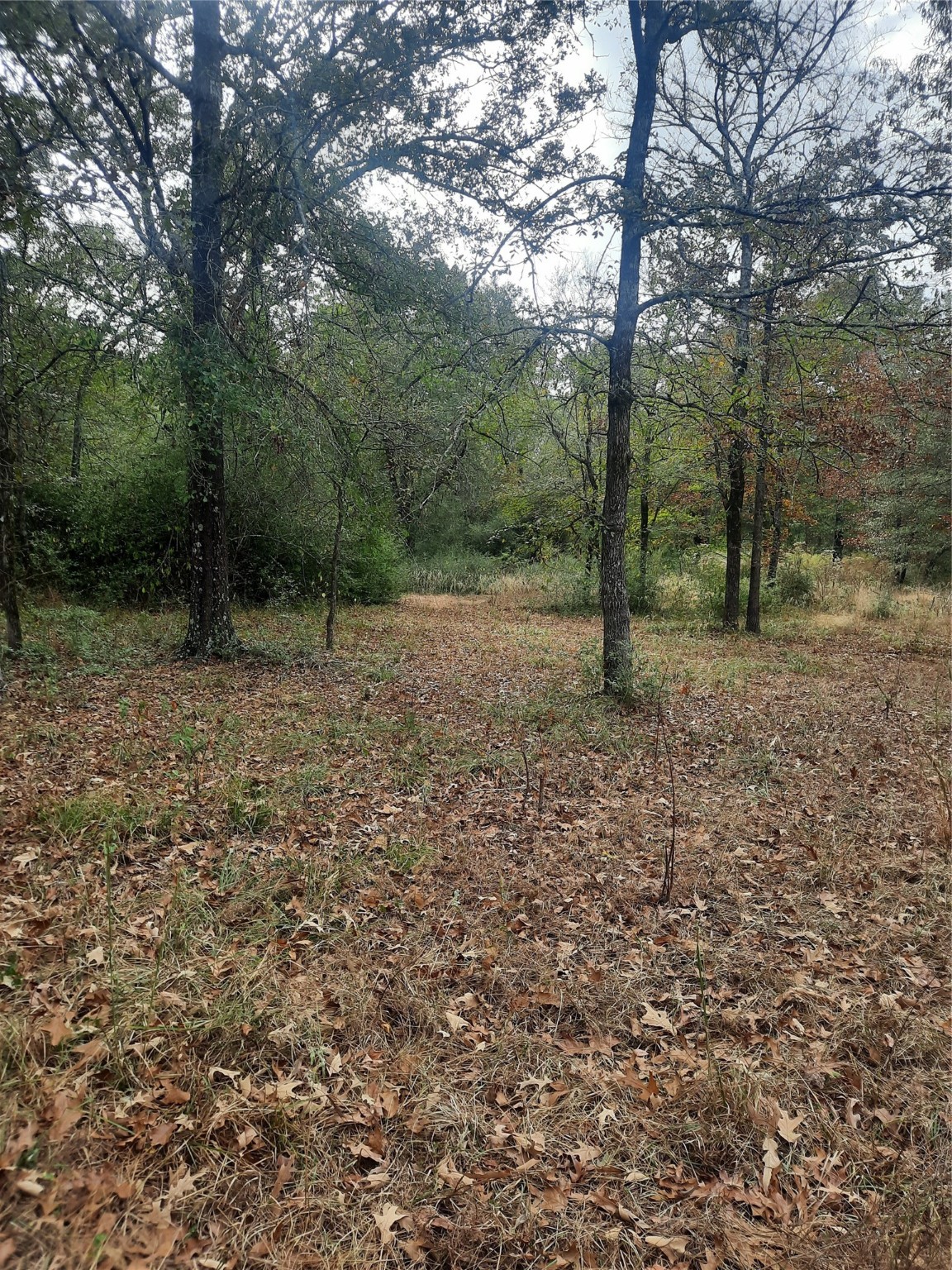 2900 County Road 3390 Property Photo 18