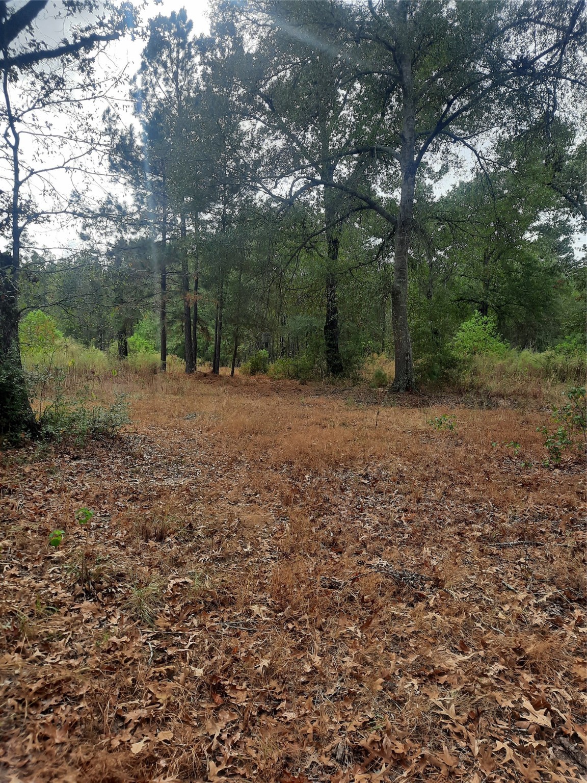 2900 County Road 3390 Property Photo 19