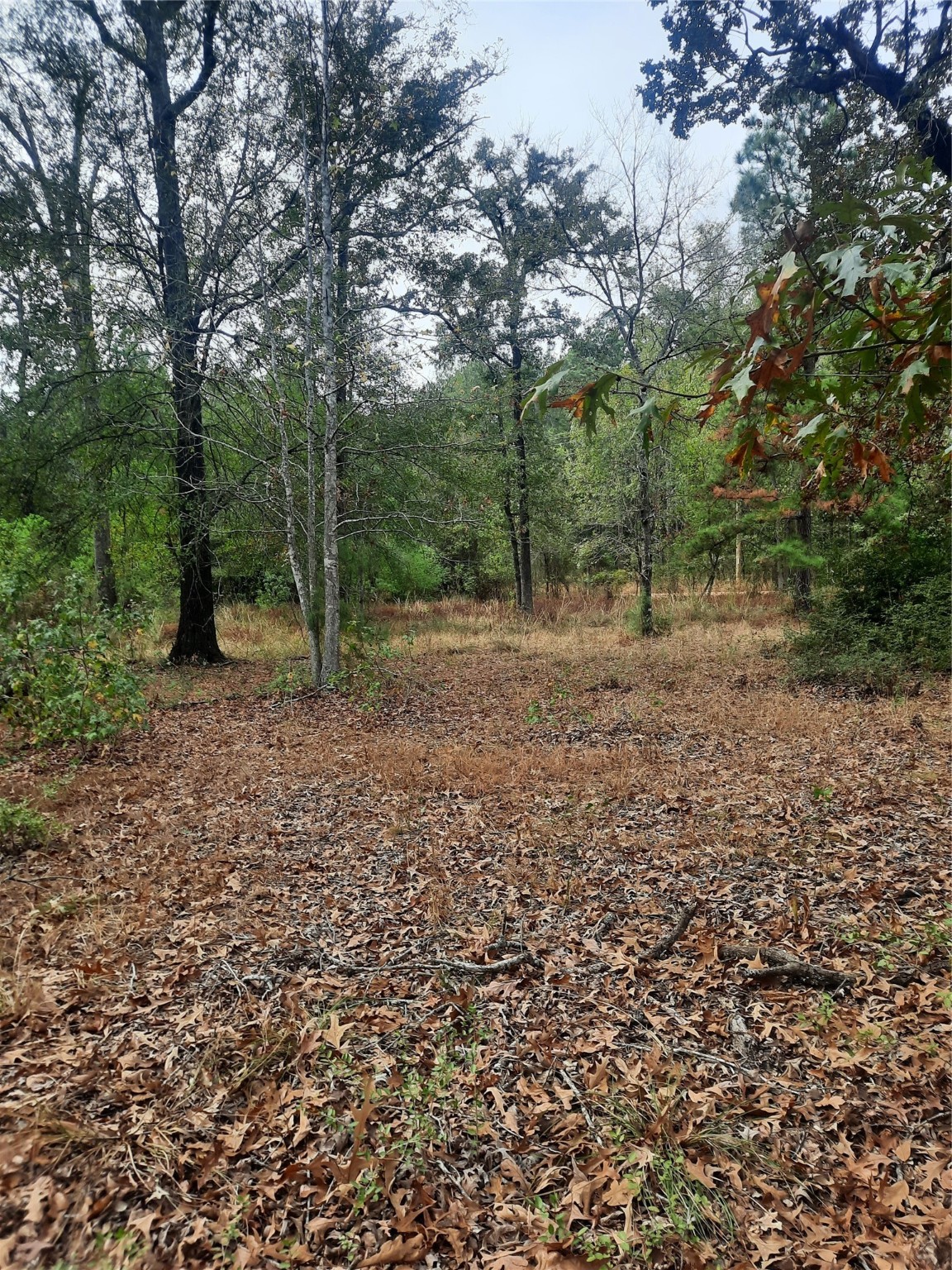2900 County Road 3390 Property Photo 20