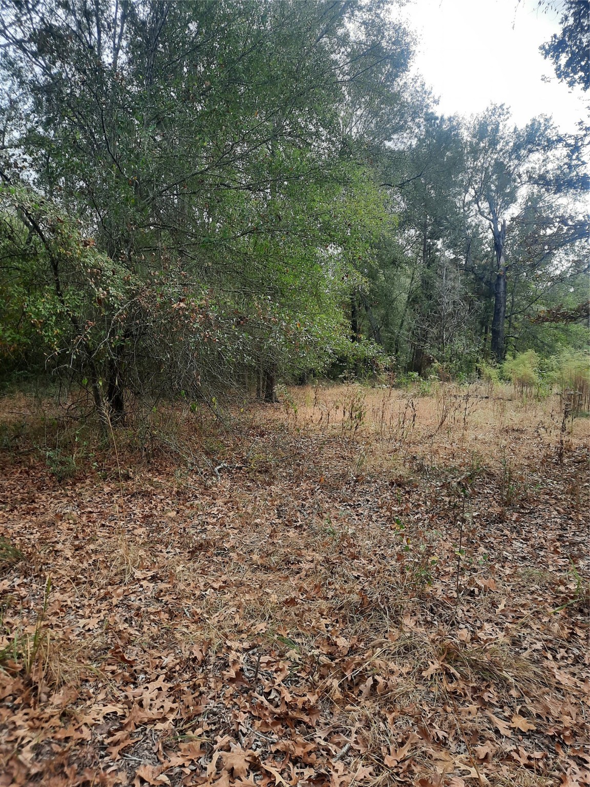 2900 County Road 3390 Property Photo 21