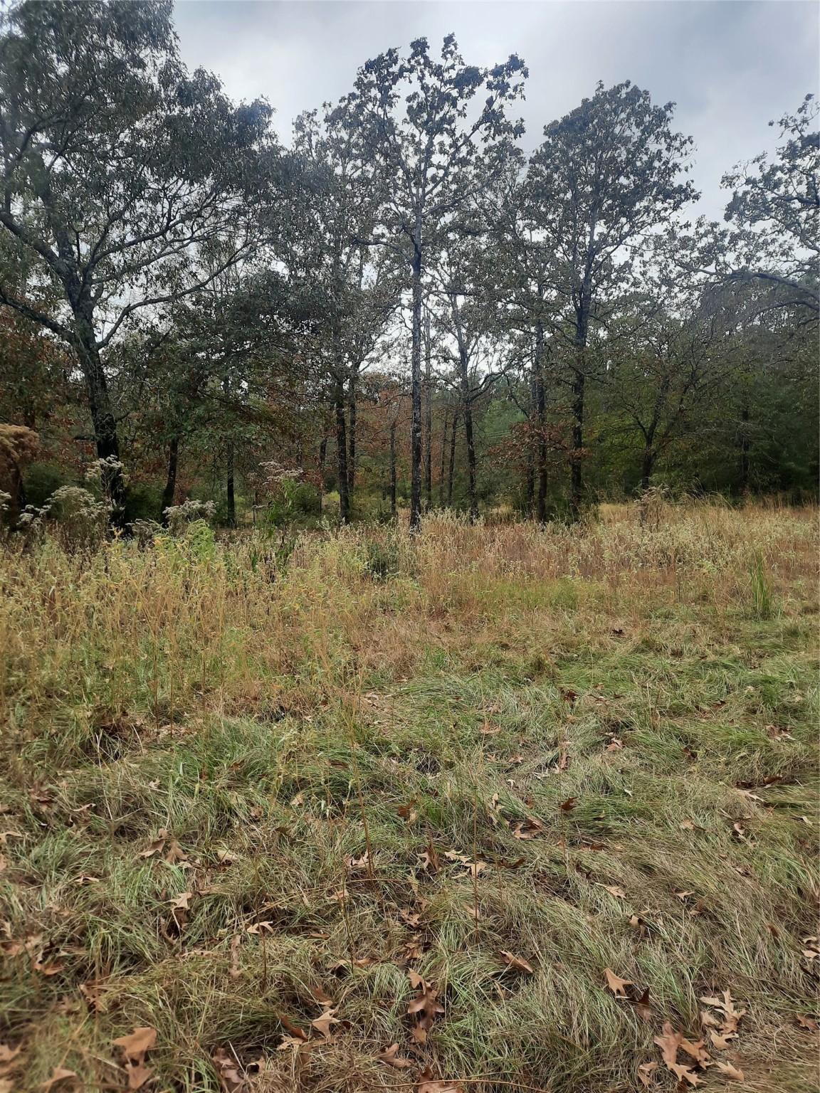 2900 County Road 3390 Property Photo 22