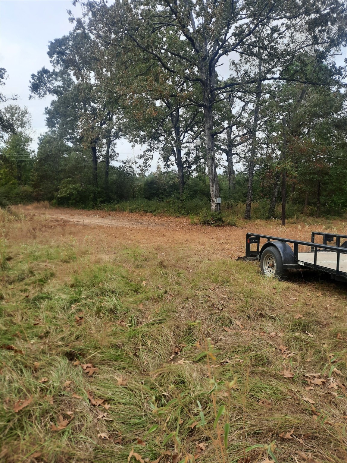 2900 County Road 3390 Property Photo 23