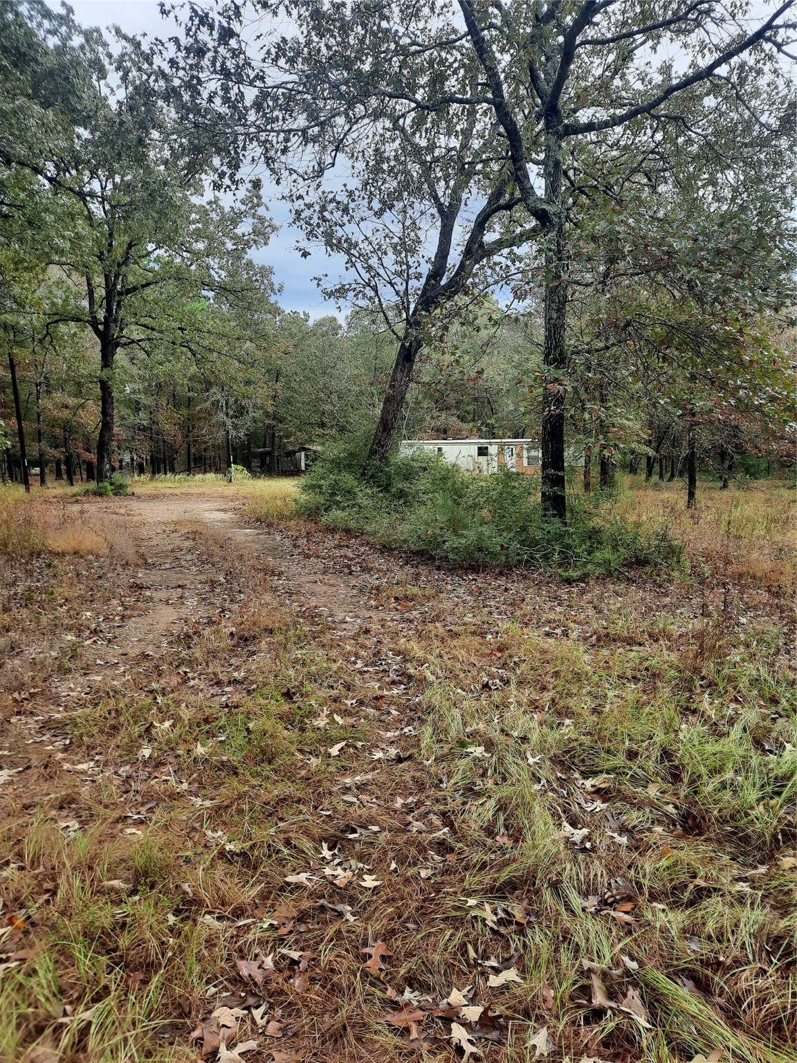 2900 County Road 3390 Property Photo 24