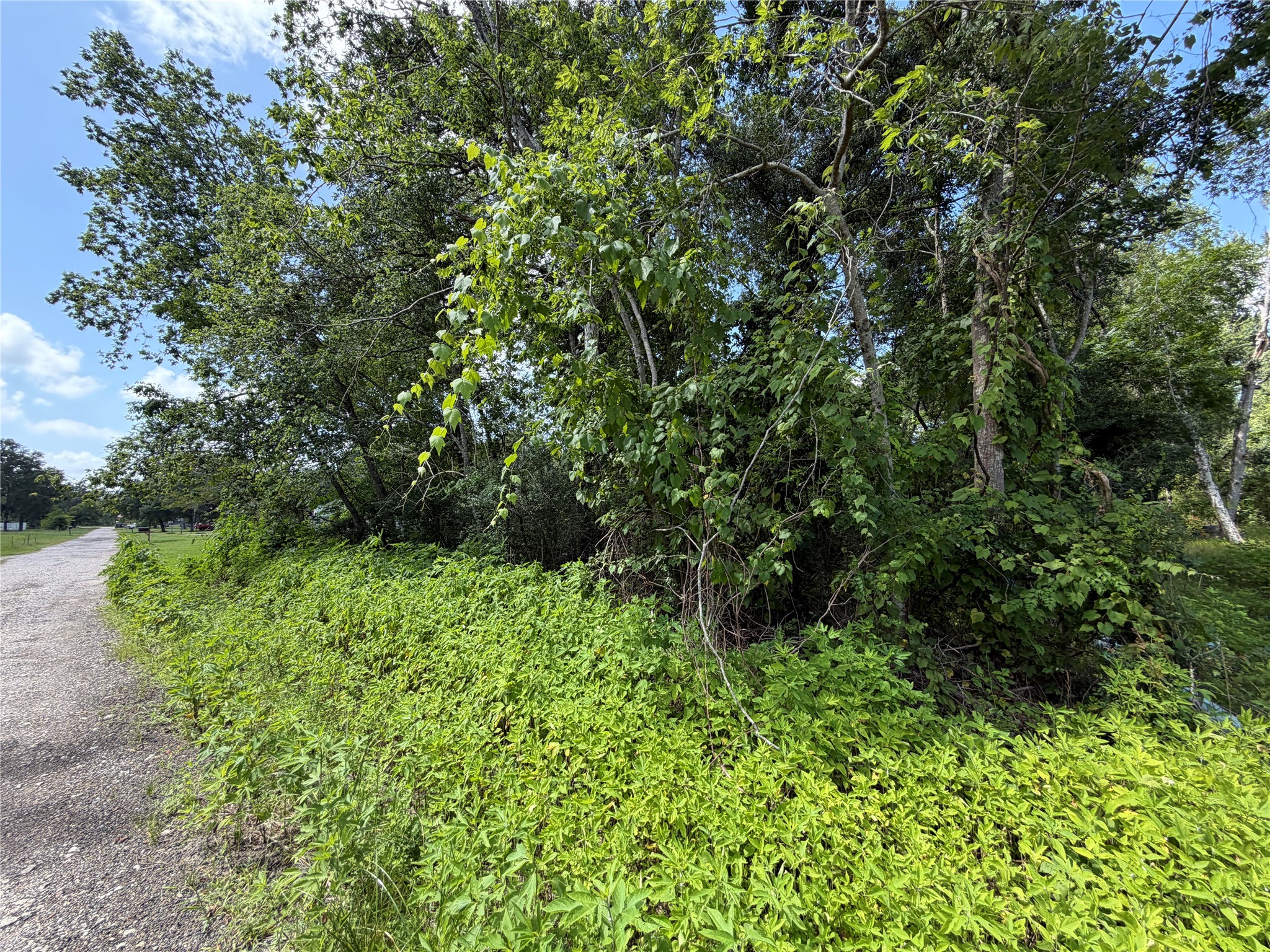 Lot 97 Lost Forest Drive Property Photo 1