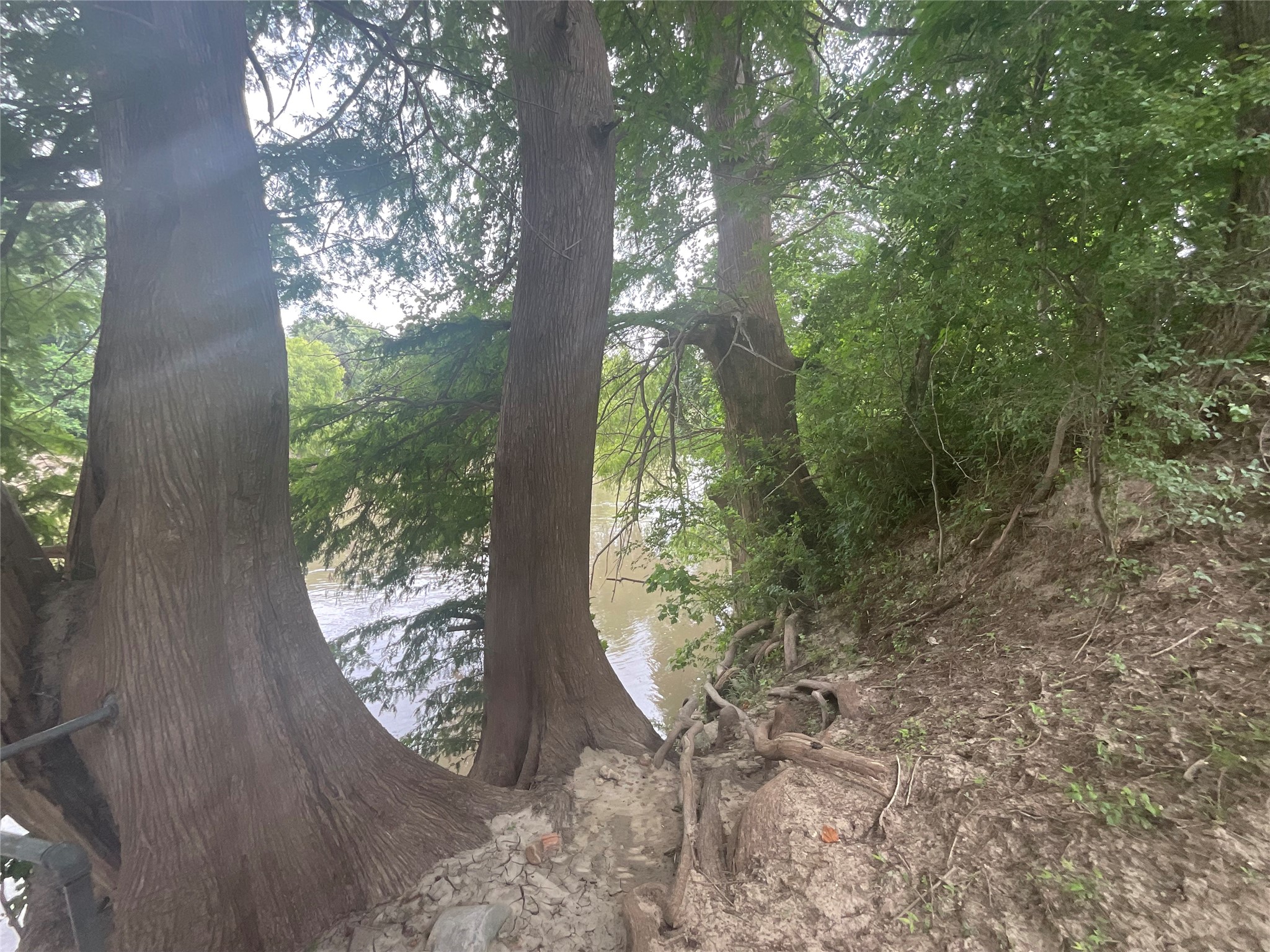 17377 Highway 87 N Property Photo 48