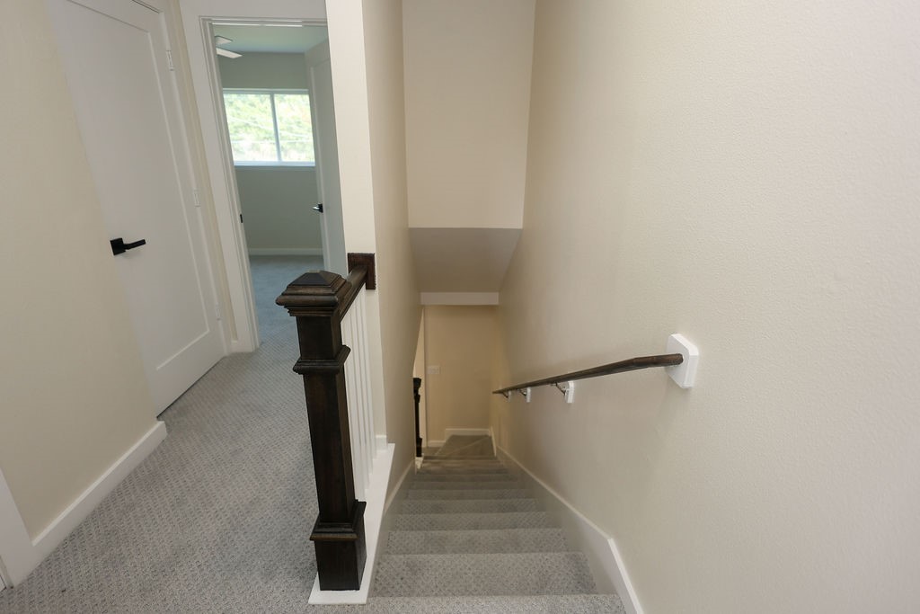708 Staitti Street 8 Property Photo 11