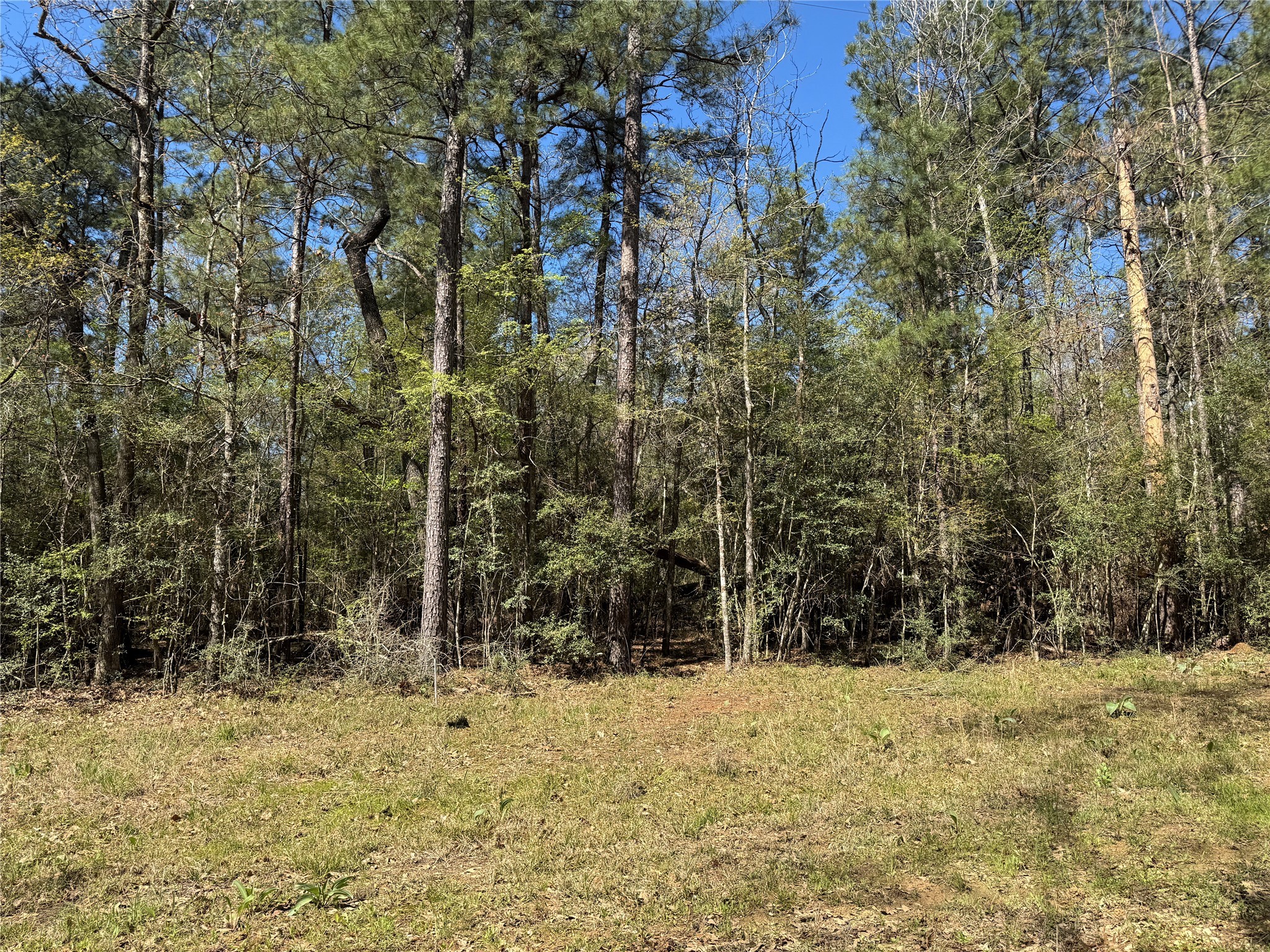 Tbd County Road 2142 B Property Photo