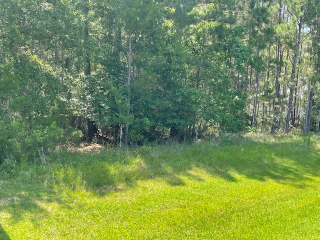 17729 Equestrian Drive Property Photo 3