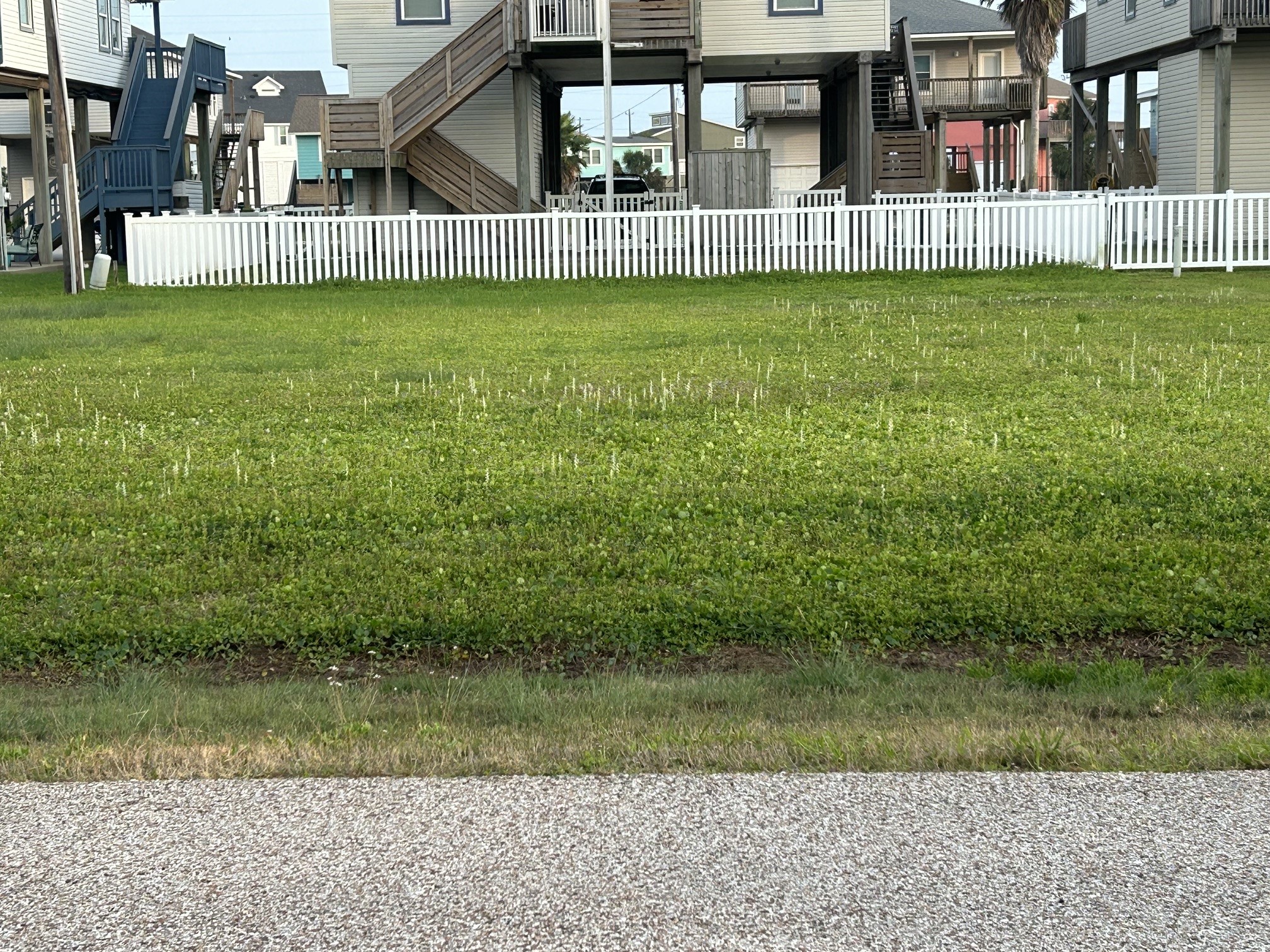Lot 97 Camino Property Photo 6
