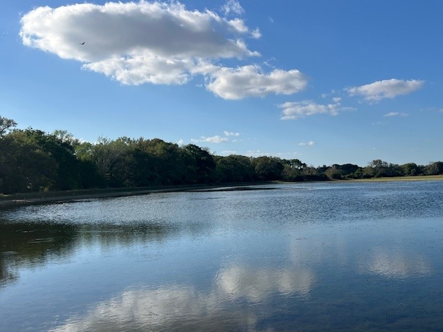 1600 County Road 121
