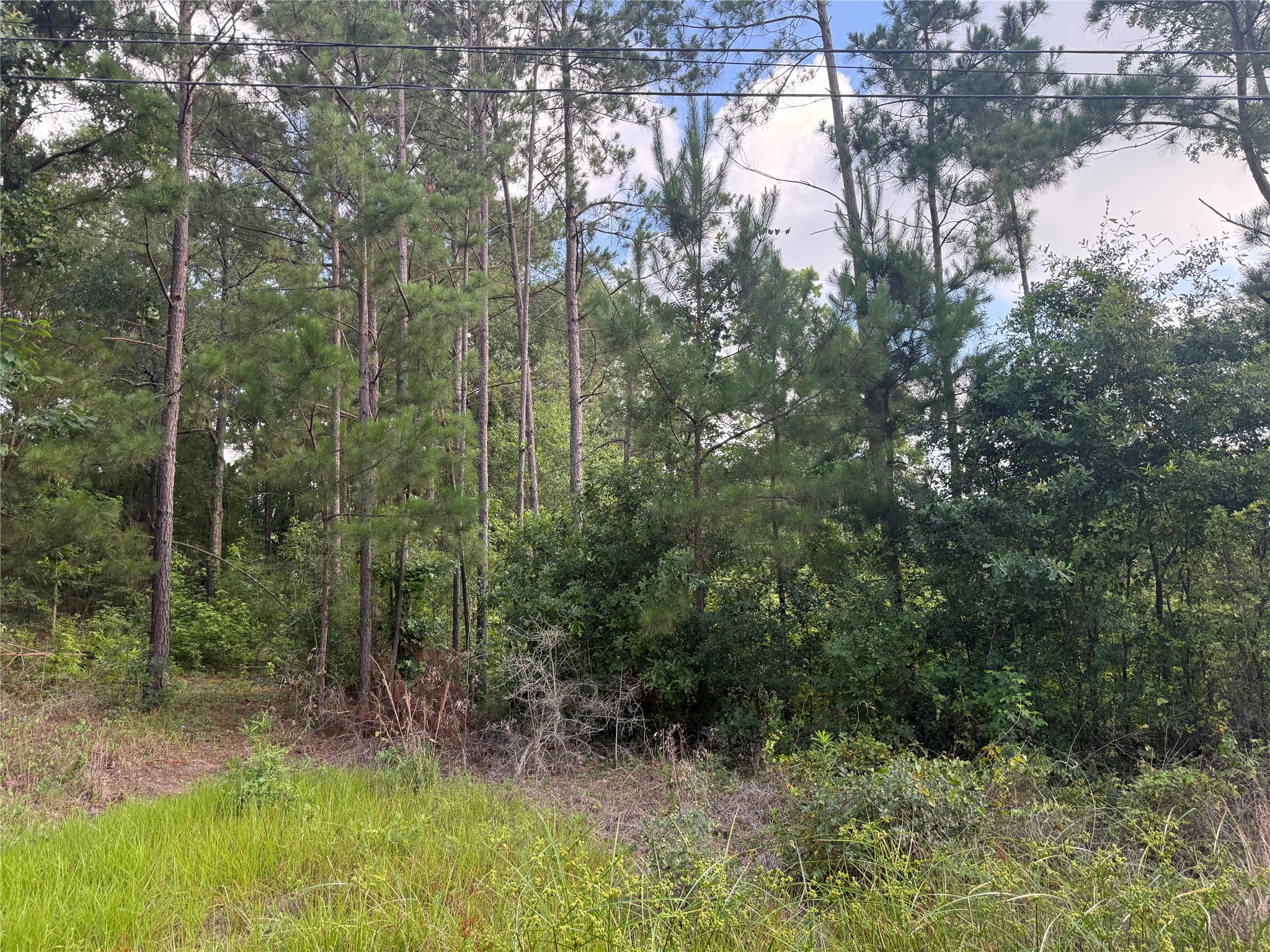 3555 Hickock Lane Property Photo 1