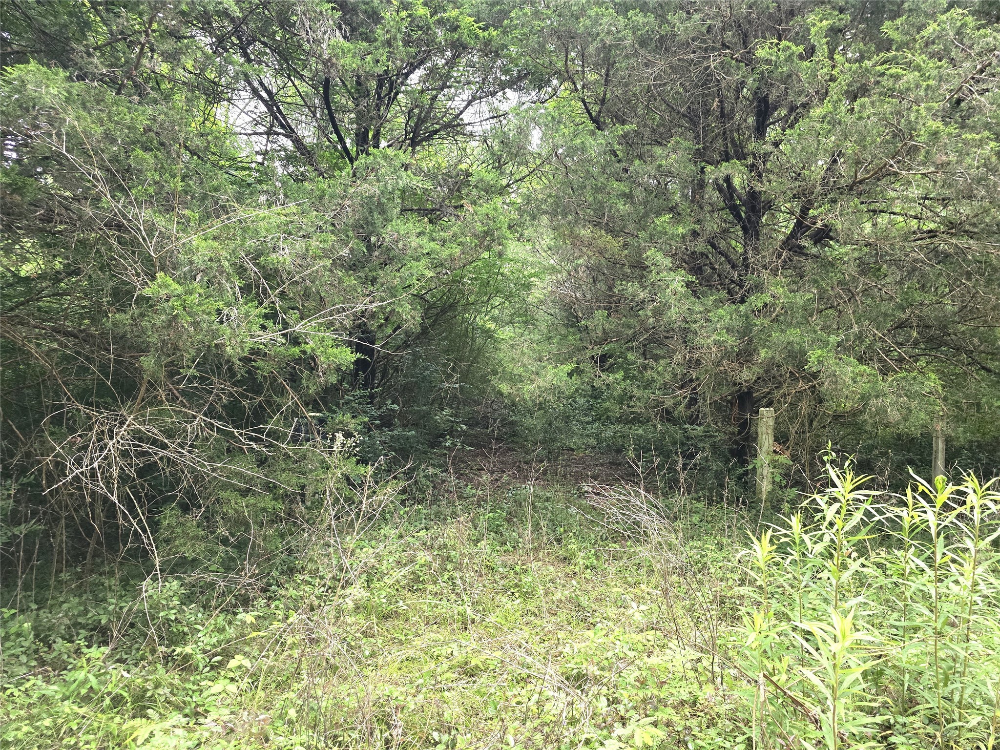 1069 Conestoga Trail Property Photo 1