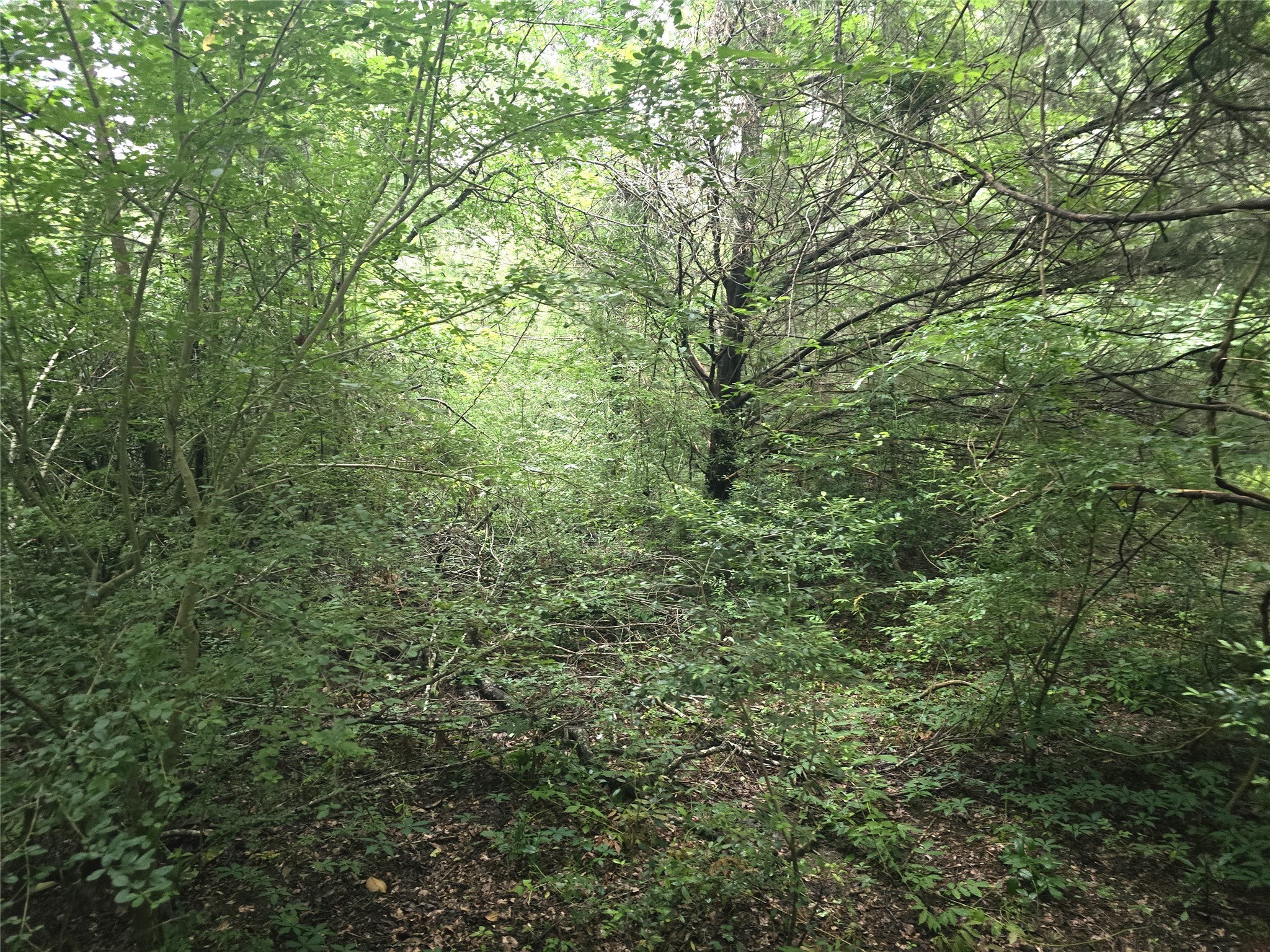 1069 Conestoga Trail Property Photo 2