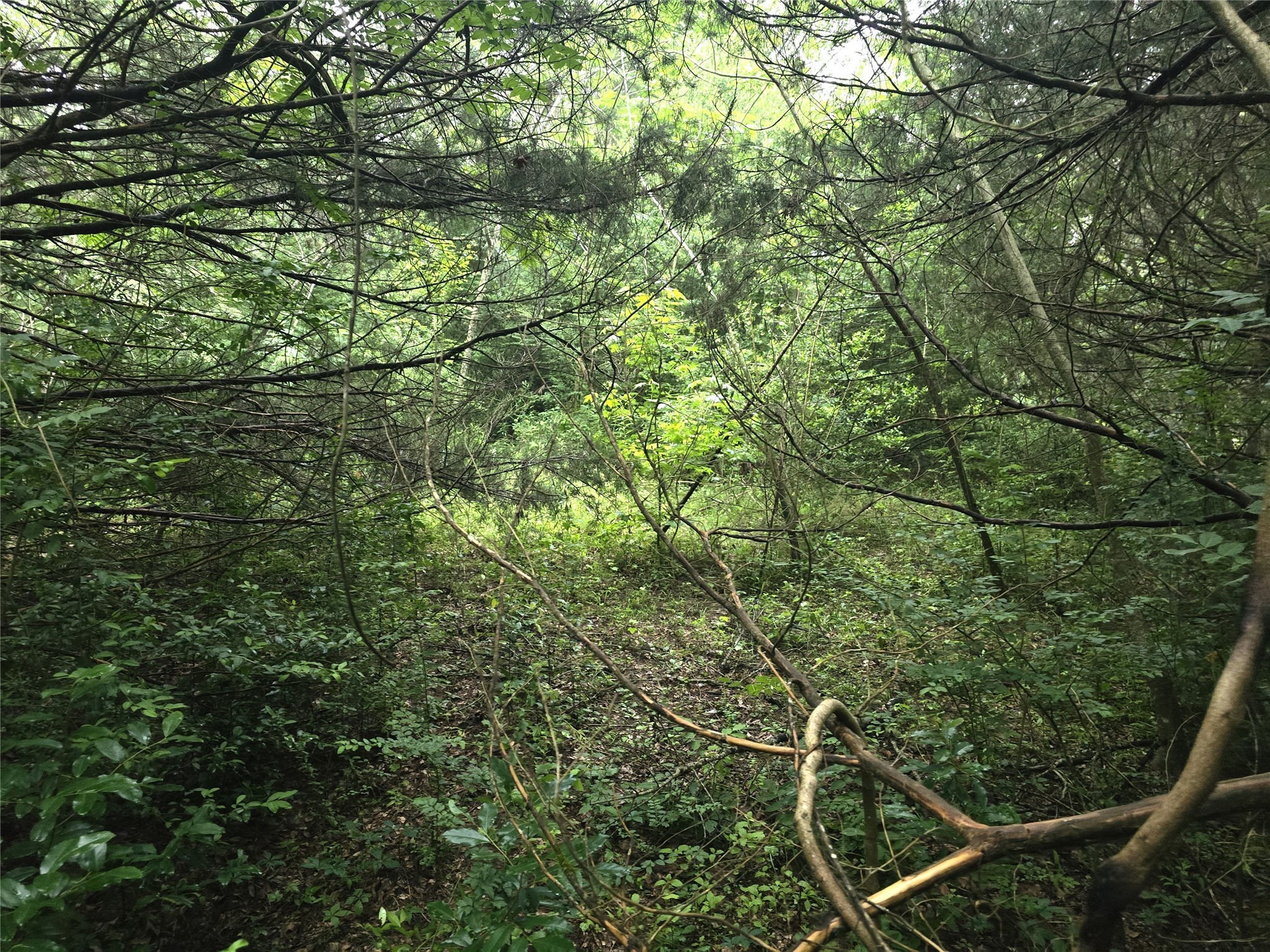 1069 Conestoga Trail Property Photo 3