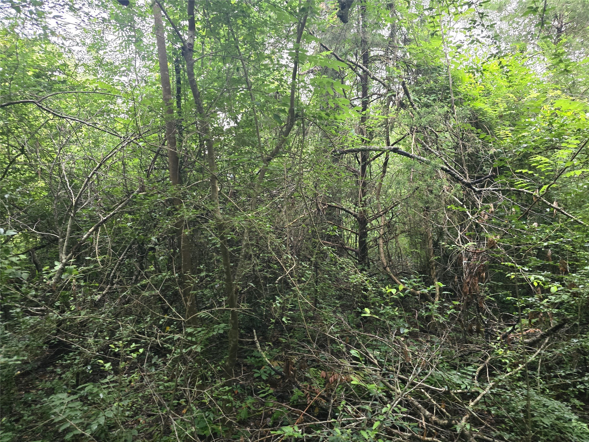 1069 Conestoga Trail Property Photo 4