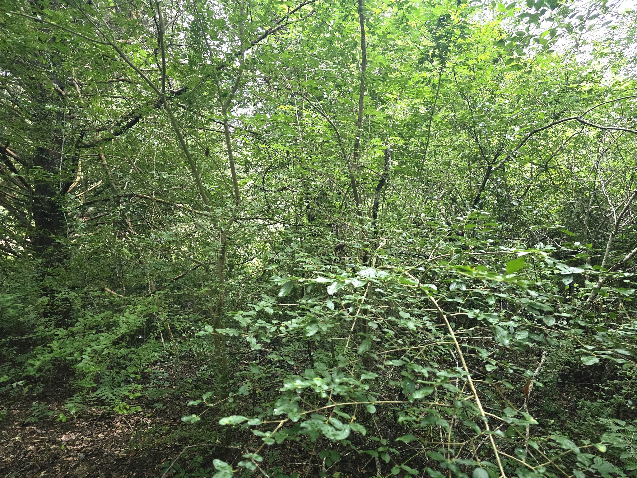 1069 Conestoga Trail Property Photo 5