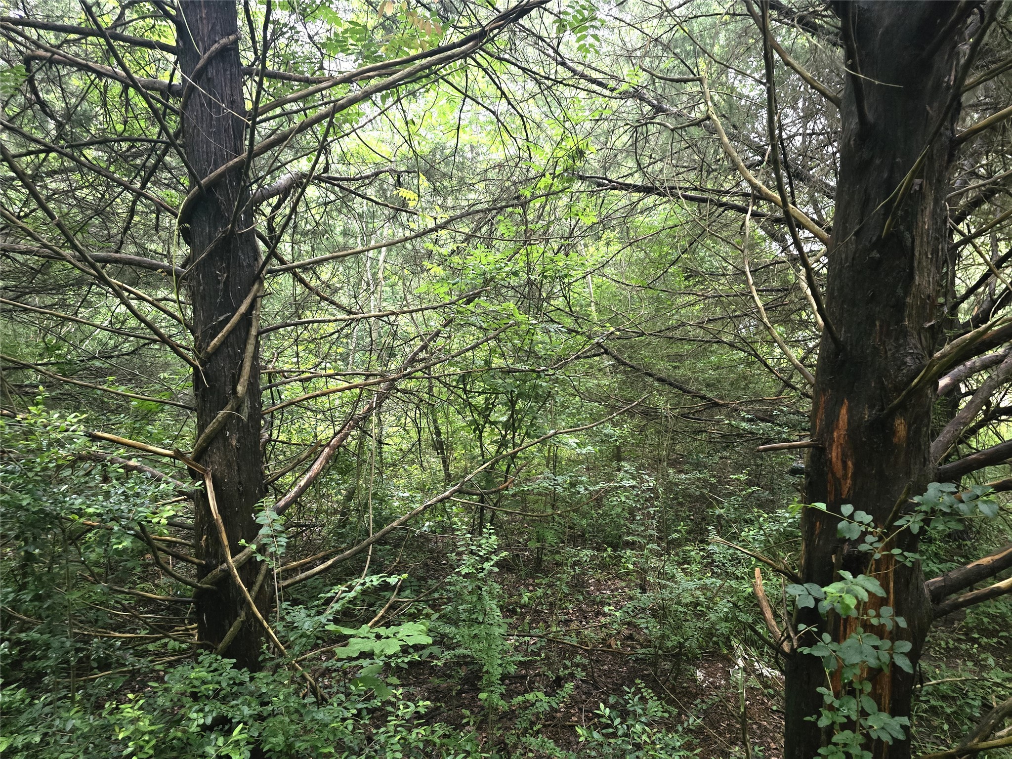 1069 Conestoga Trail Property Photo 6