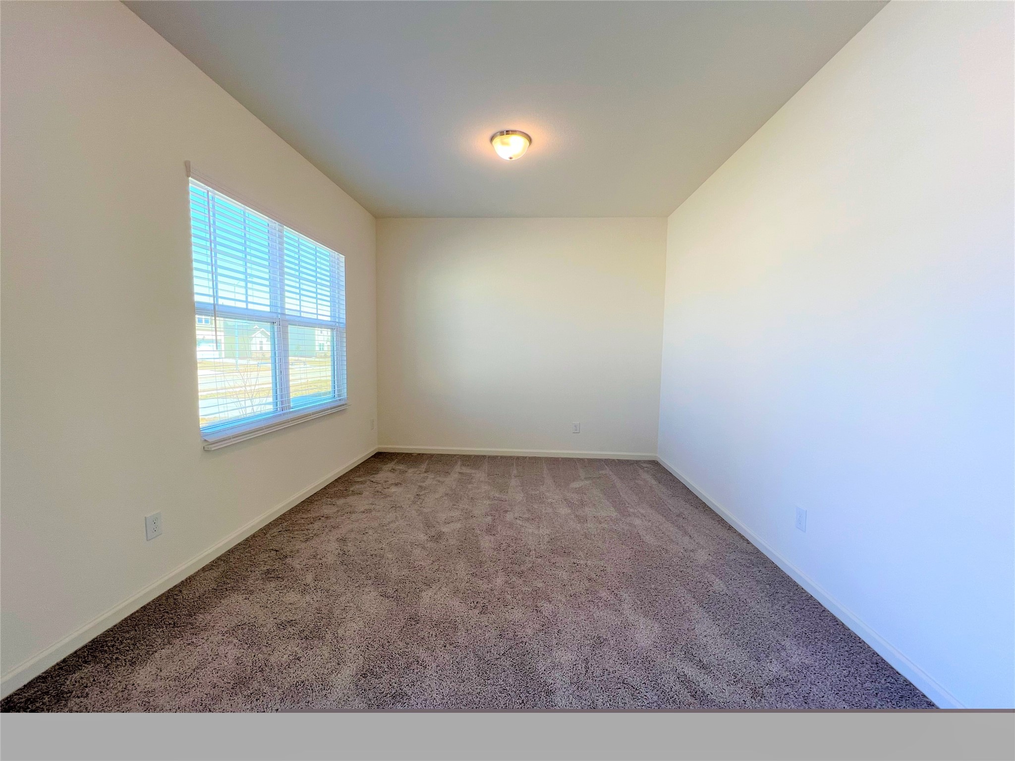 1036 Lacebark Pine Lane Property Photo 2