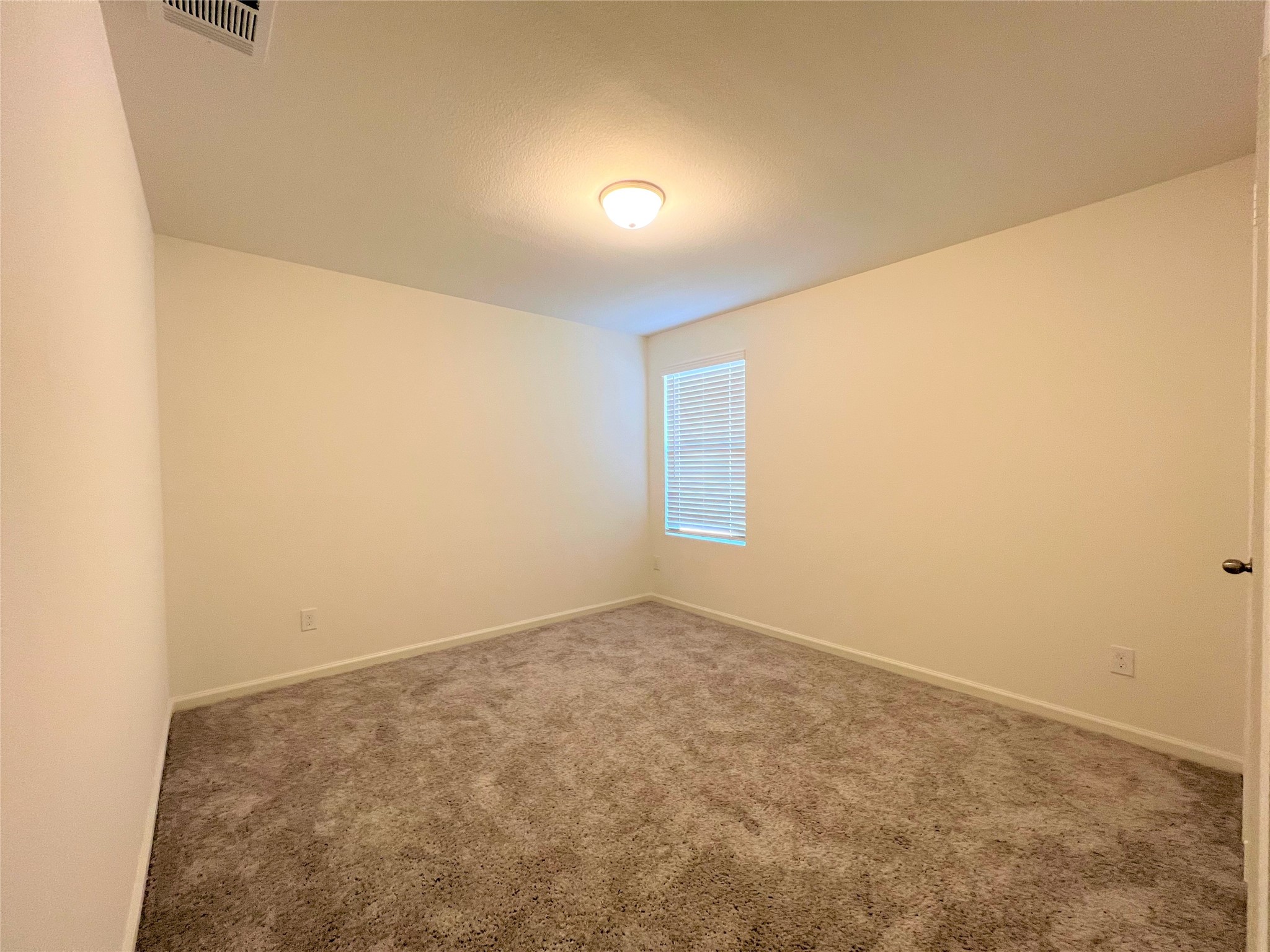 1036 Lacebark Pine Lane Property Photo 15