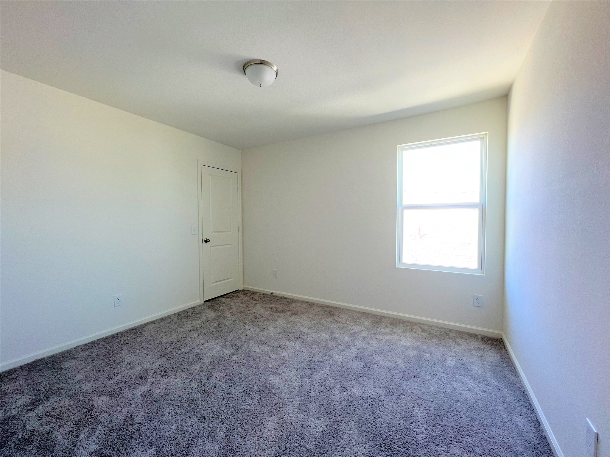 1036 Lacebark Pine Lane Property Photo 16