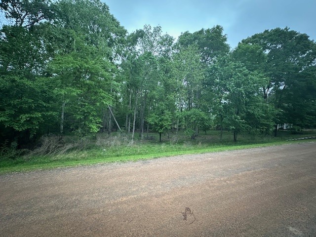 Tbd Lot 11 & 12 Eastgate Park Property Photo 6