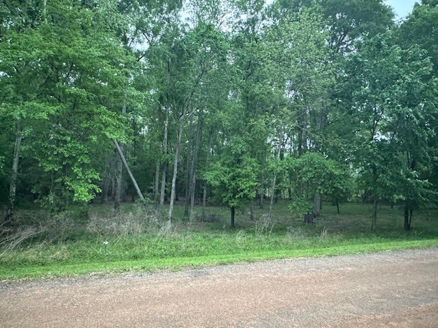 Tbd Lot 11 & 12 Eastgate Park Property Photo 7