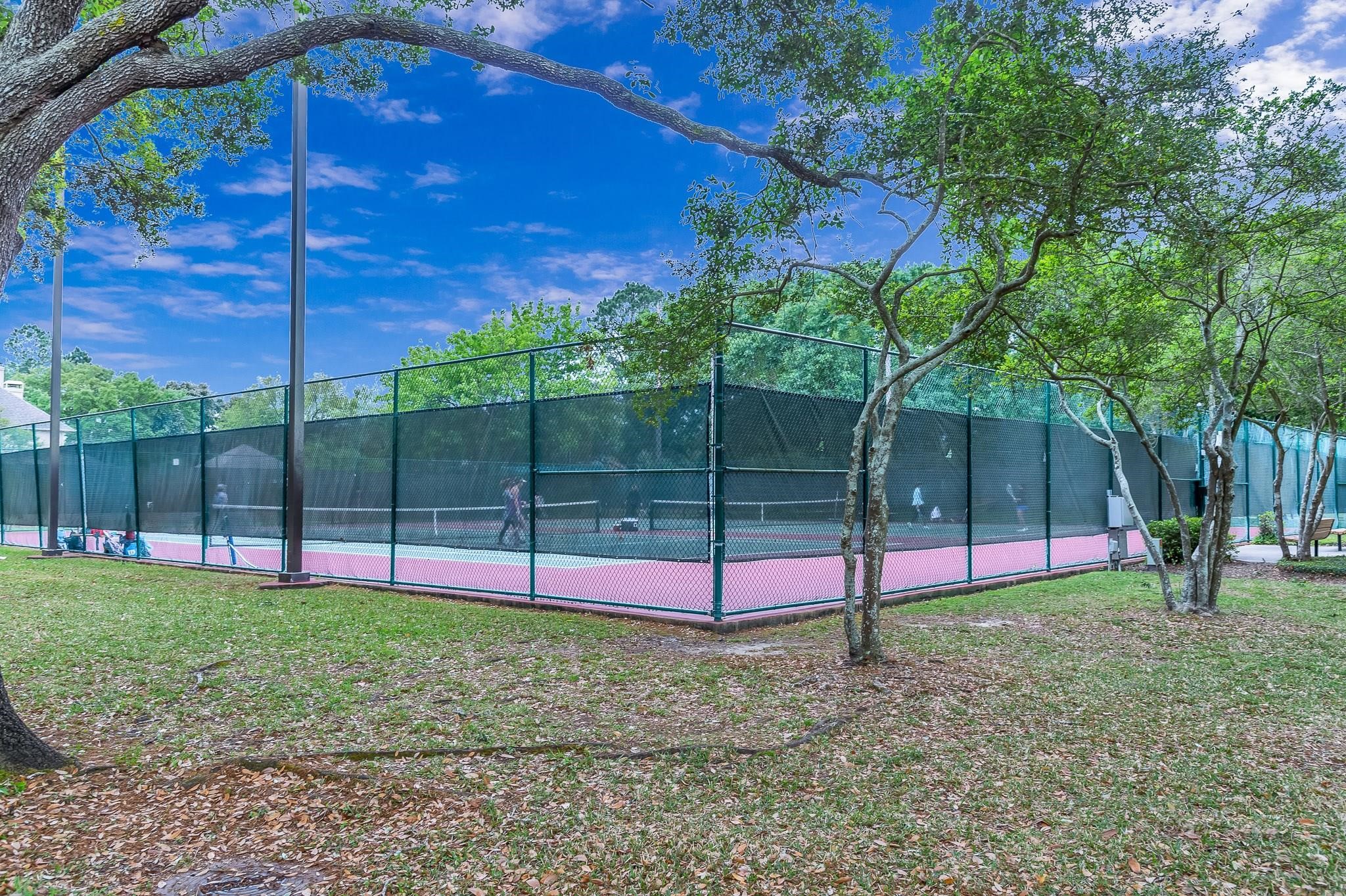 28118 Rebecca Meadow Falls Lane Property Photo 41