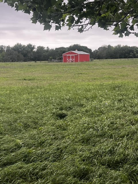 1505 Prairie Valley Road Property Photo 4