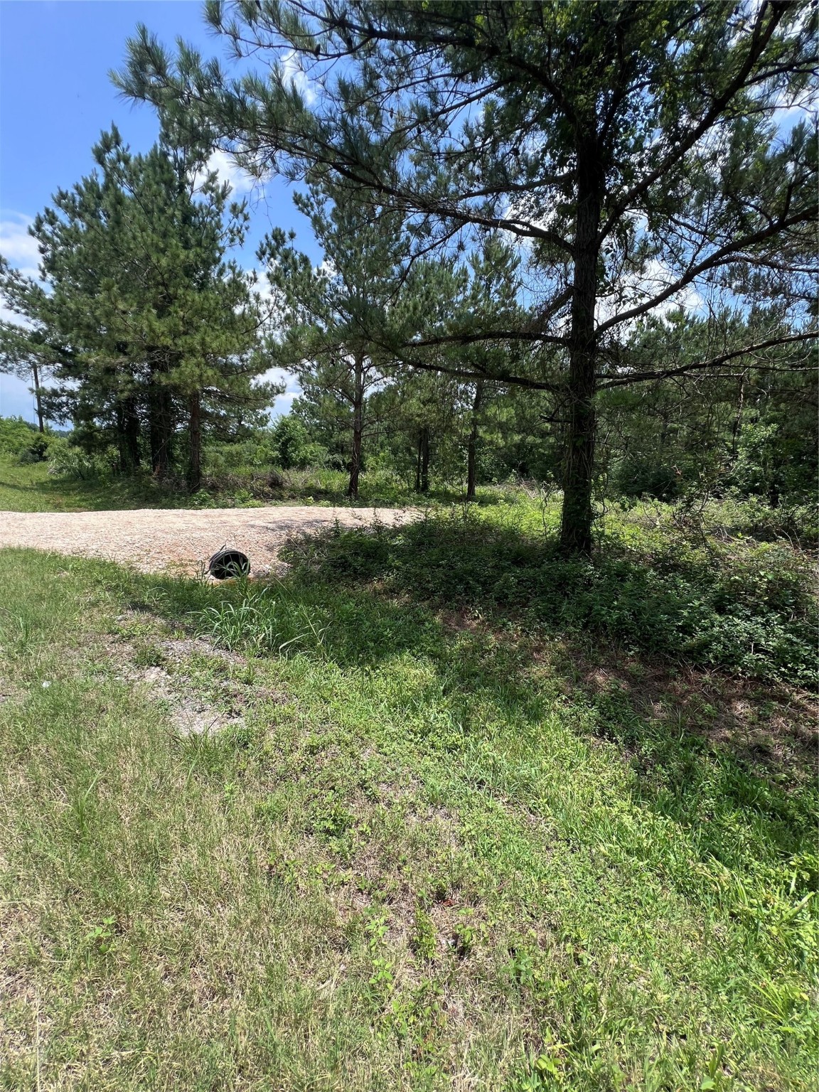 175 County Road 4873 Property Photo 1