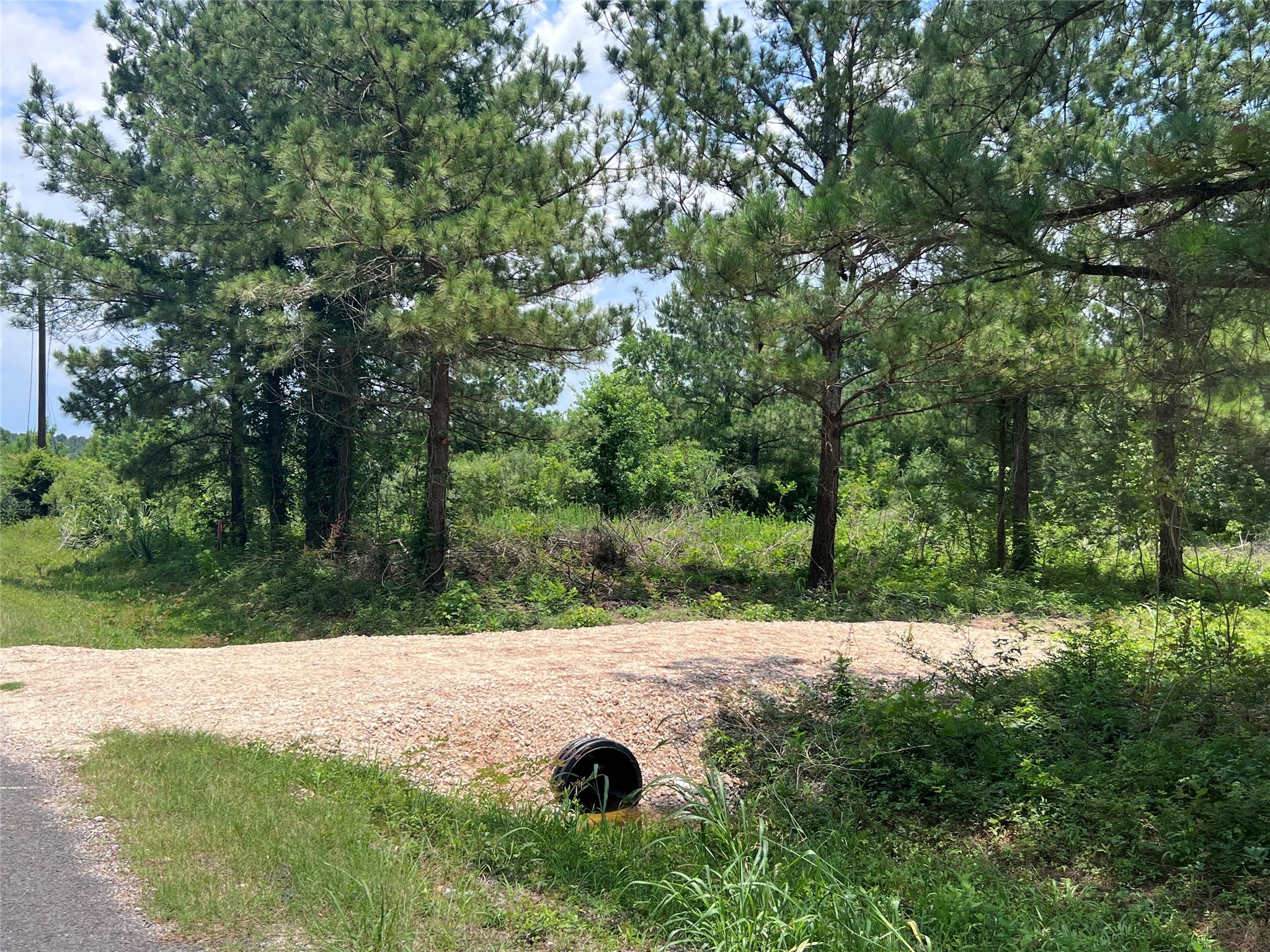 175 County Road 4873 Property Photo 2