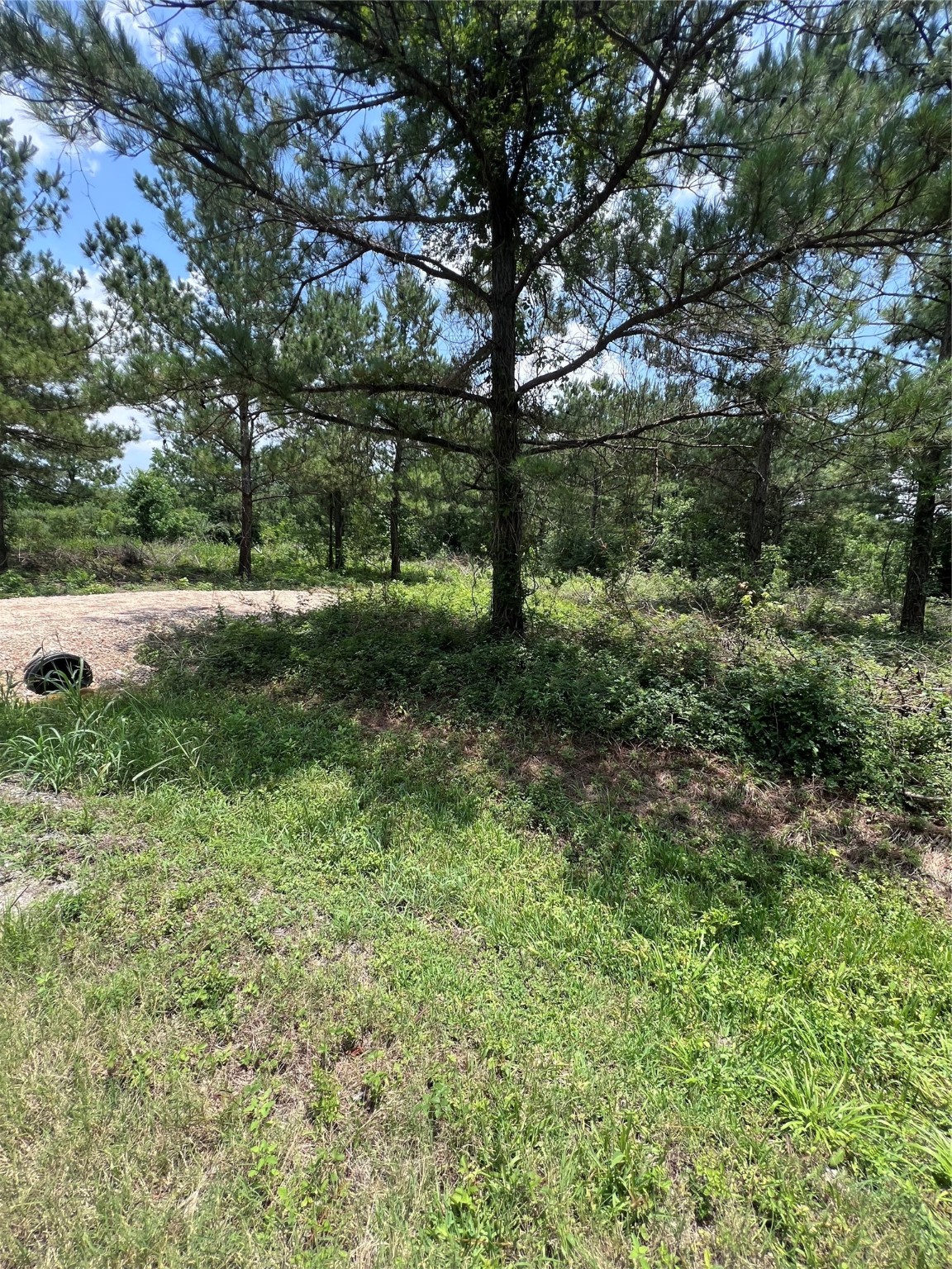 175 County Road 4873 Property Photo 3