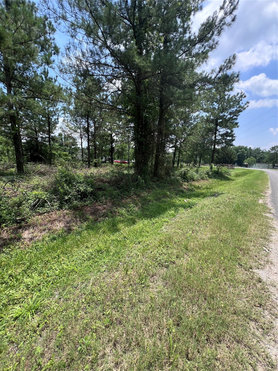 175 County Road 4873 Property Photo 4