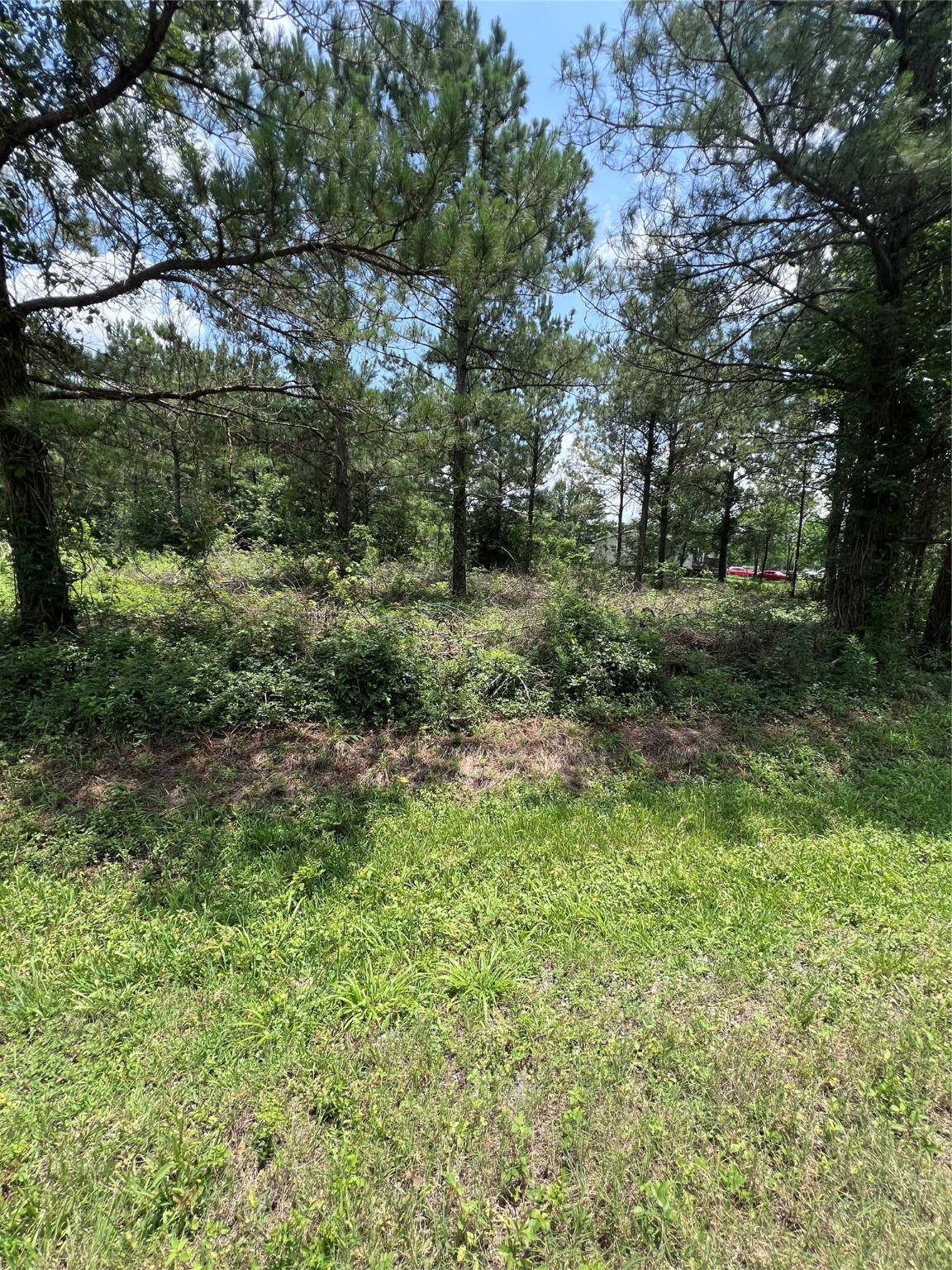 175 County Road 4873 Property Photo 5