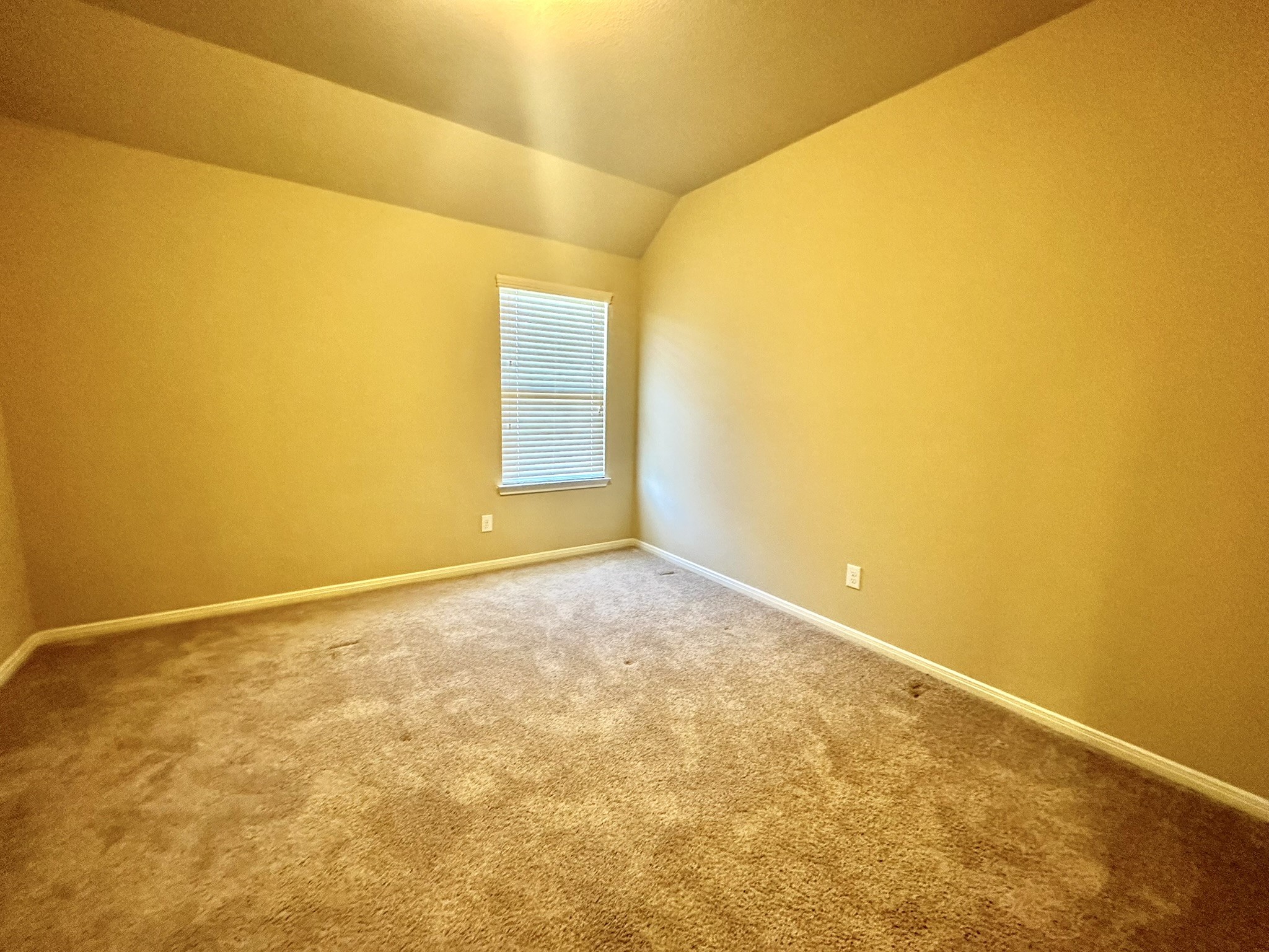 22407 Ebbets Field Drive Property Photo 26
