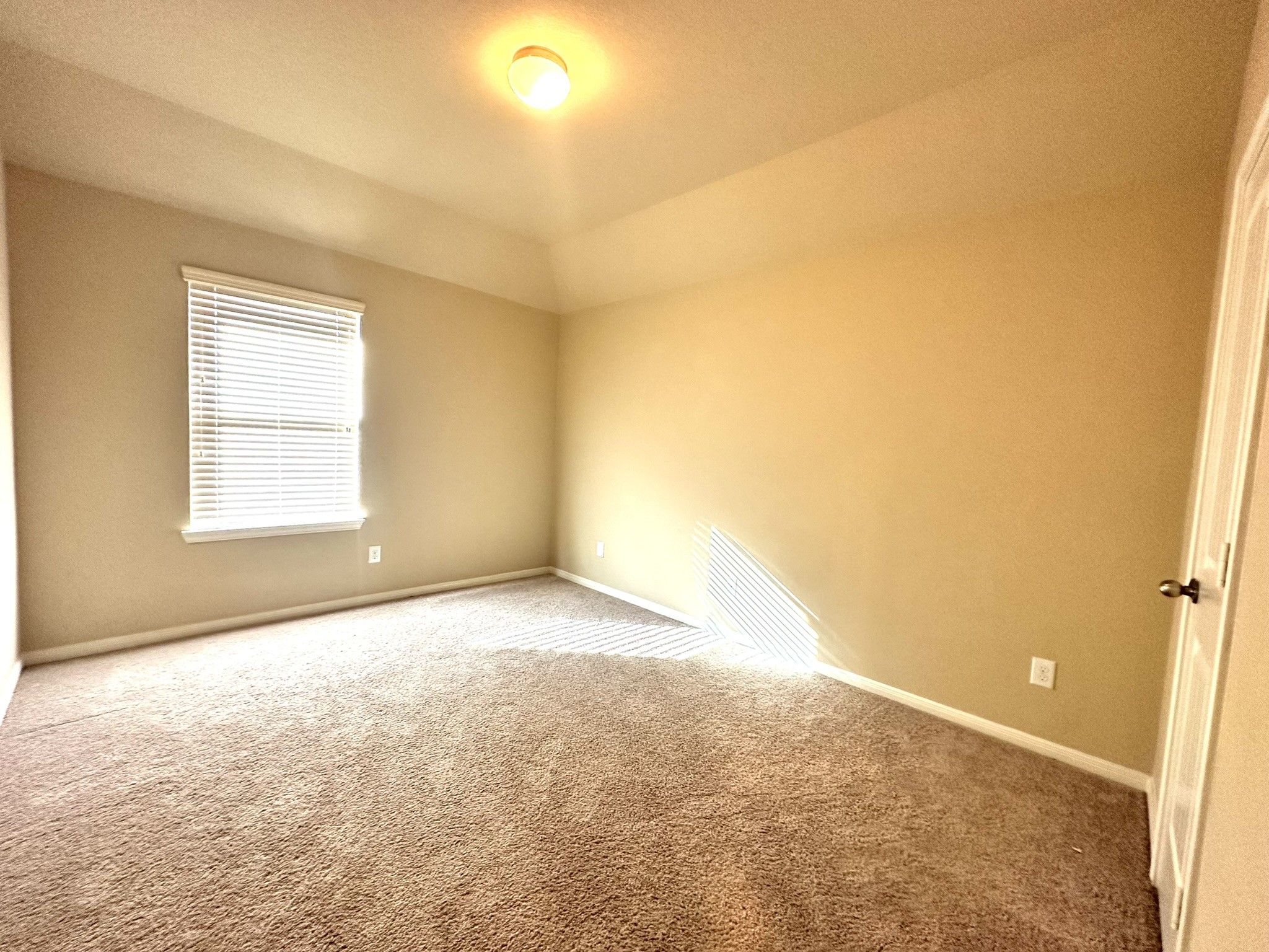 22407 Ebbets Field Drive Property Photo 28