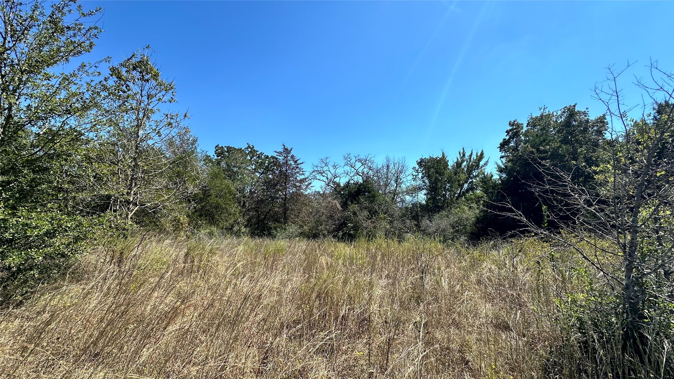402 Professor Smith Property Photo 1