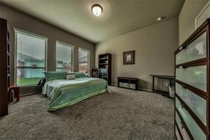 26418 Harmony Mill Court Property Photo 12