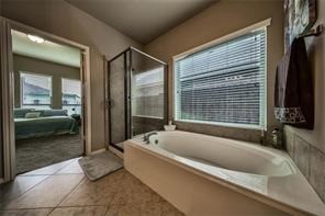 26418 Harmony Mill Court Property Photo 14