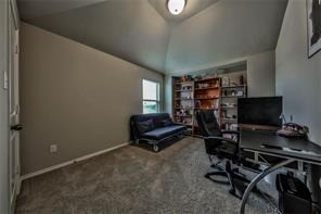 26418 Harmony Mill Court Property Photo 17
