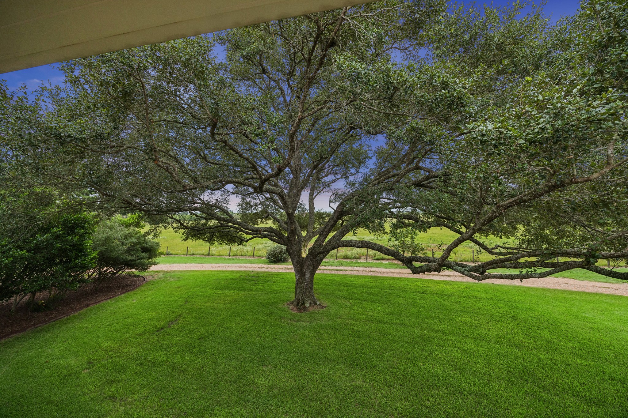 11182 Fm 1094 Road Property Photo 29