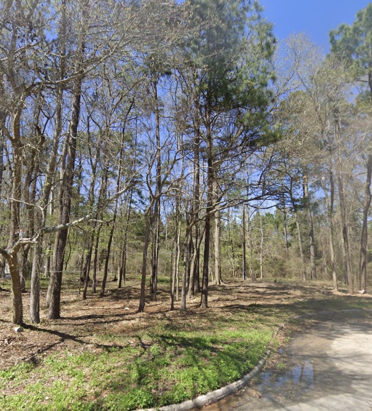 25785 Tupelo Circle Property Photo 1