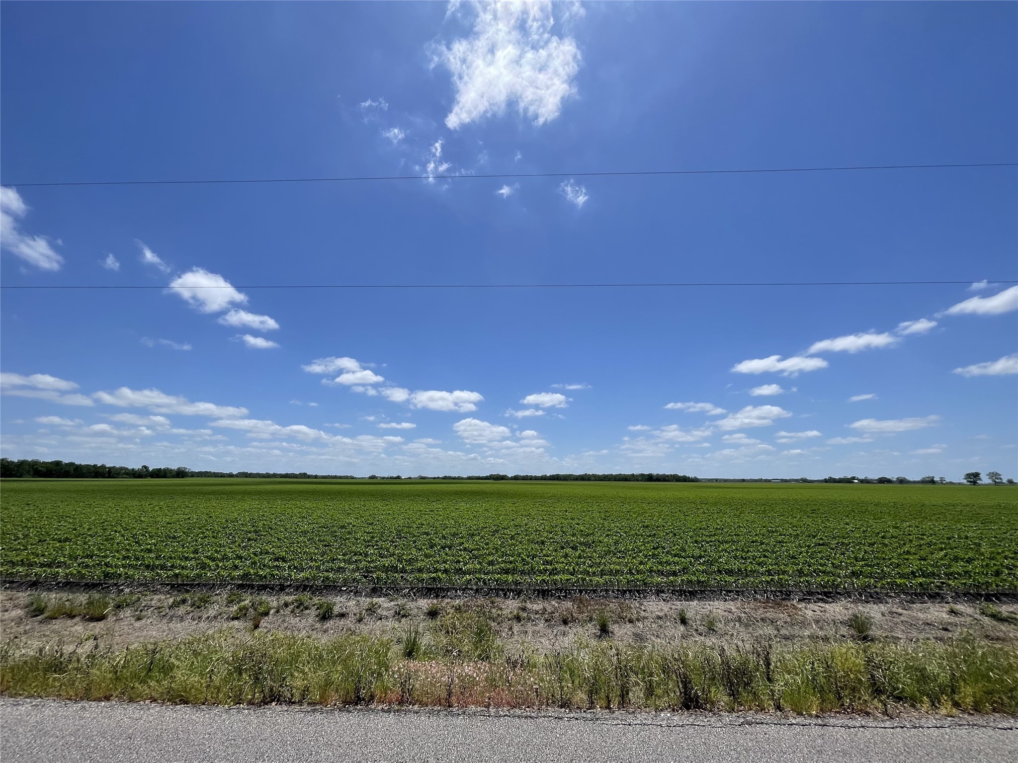 0 Schultz Road Property Photo