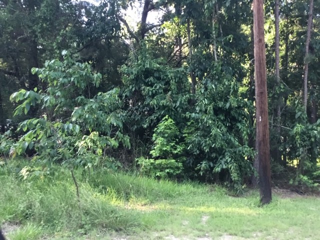 000 Water Tower Road Property Photo